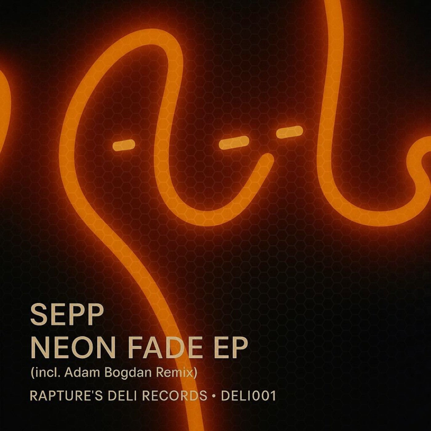 Cover - Sepp - Neon Fade (Adam Bogdan remix)