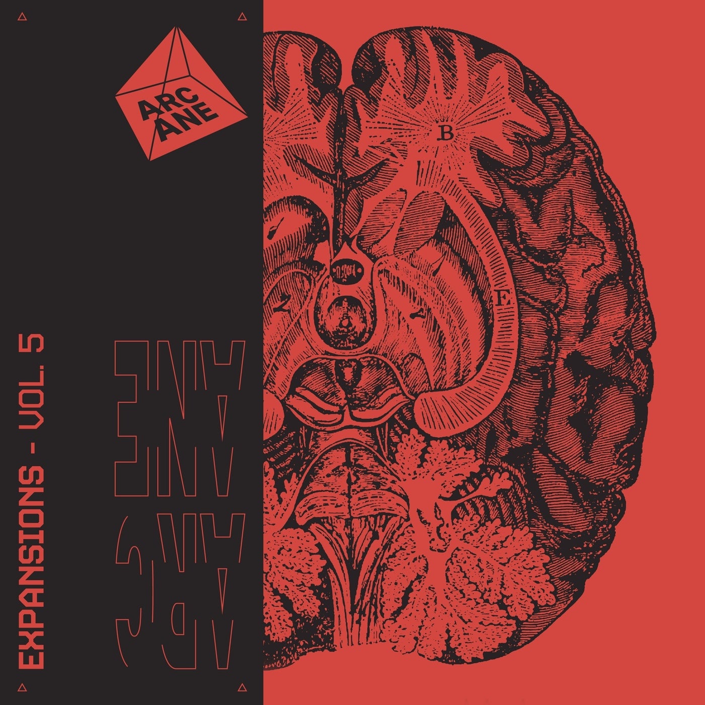 Cover - Karla Blum - Transmission (Original Mix)