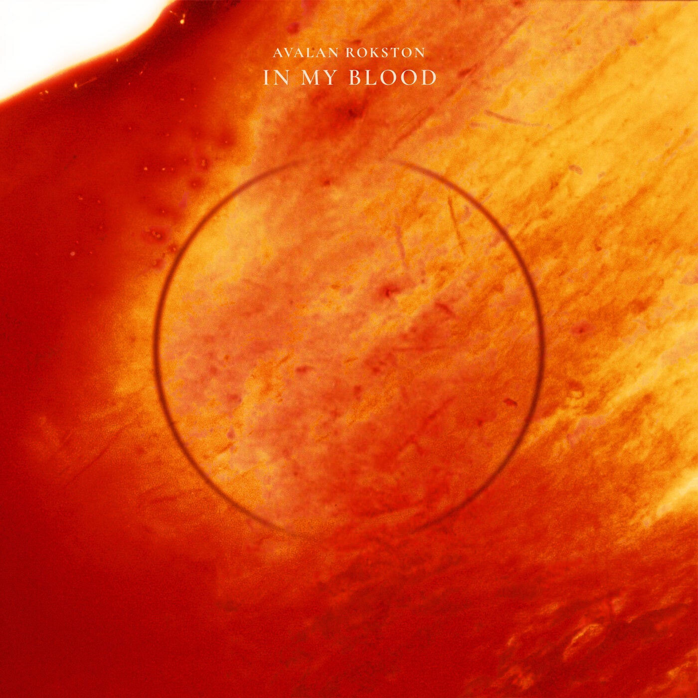 Cover - AVALAN ROKSTON - In My Blood (Extended Mix)