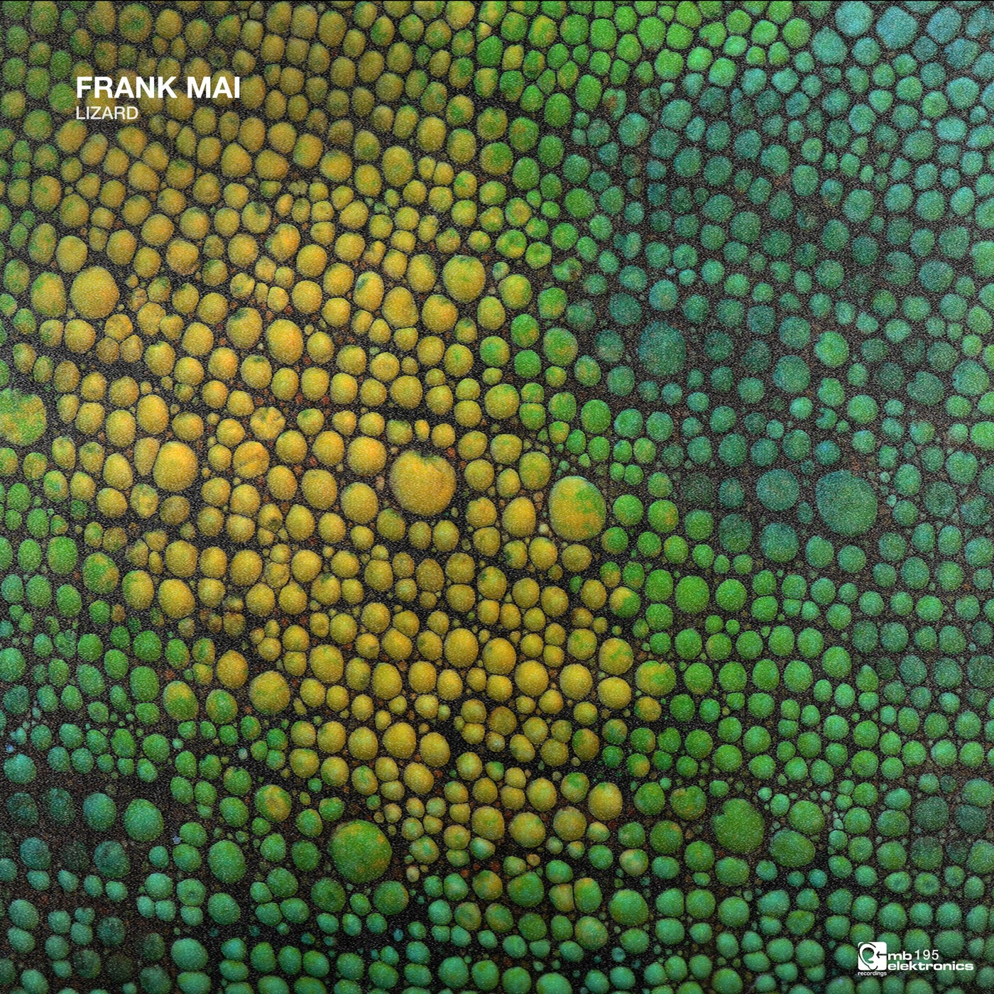 Cover - FRANK MAI - Lizard (Original Mix)
