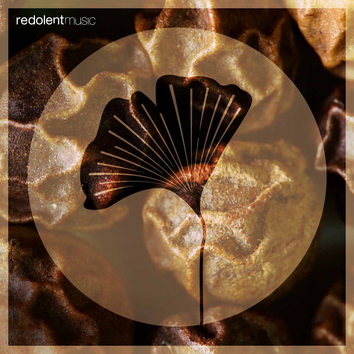 Cover - Ivan Romero, La Santa - Olokun (Original Mix)