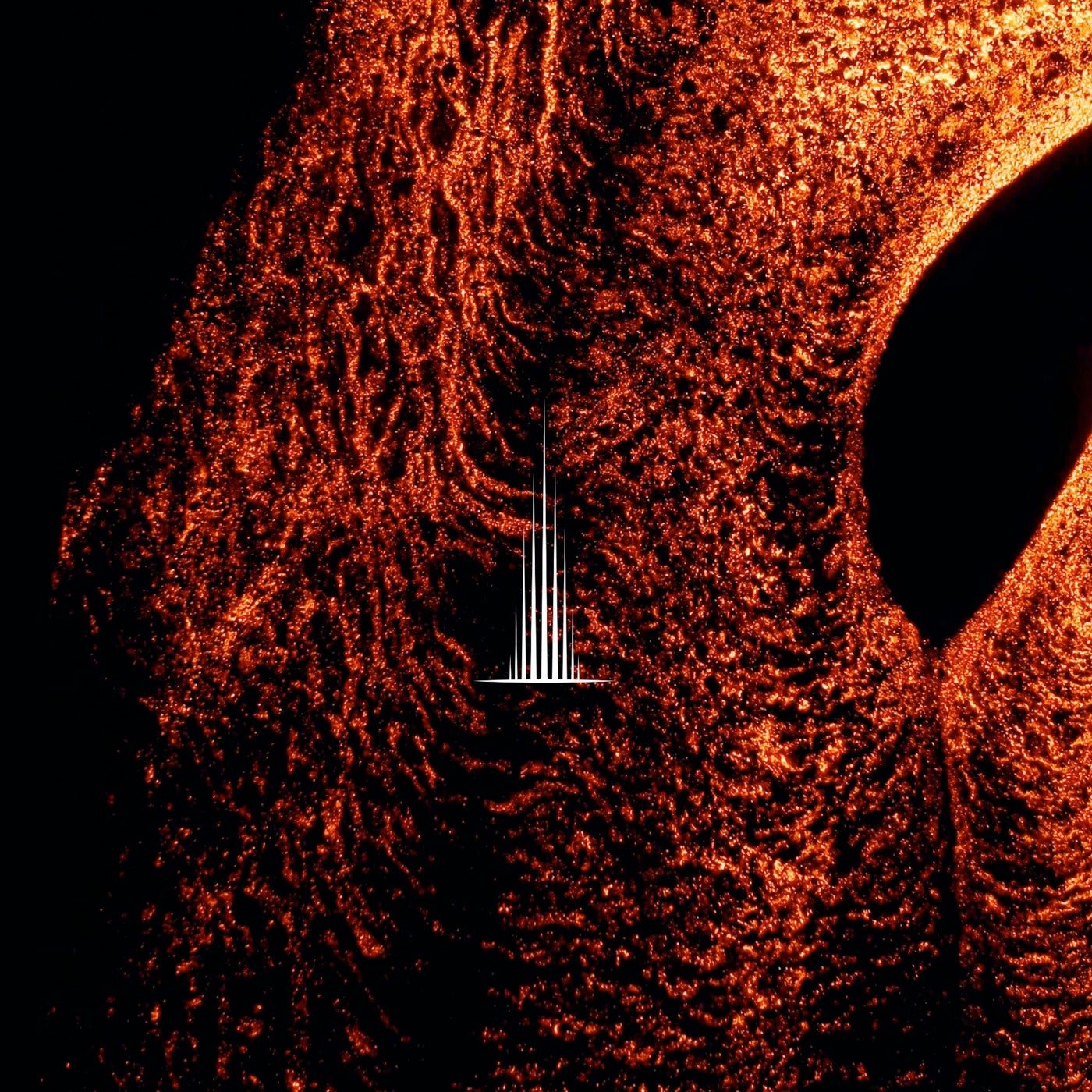 Cover - DORIANN, Dino Martin - Rise Up (Extended Mix)