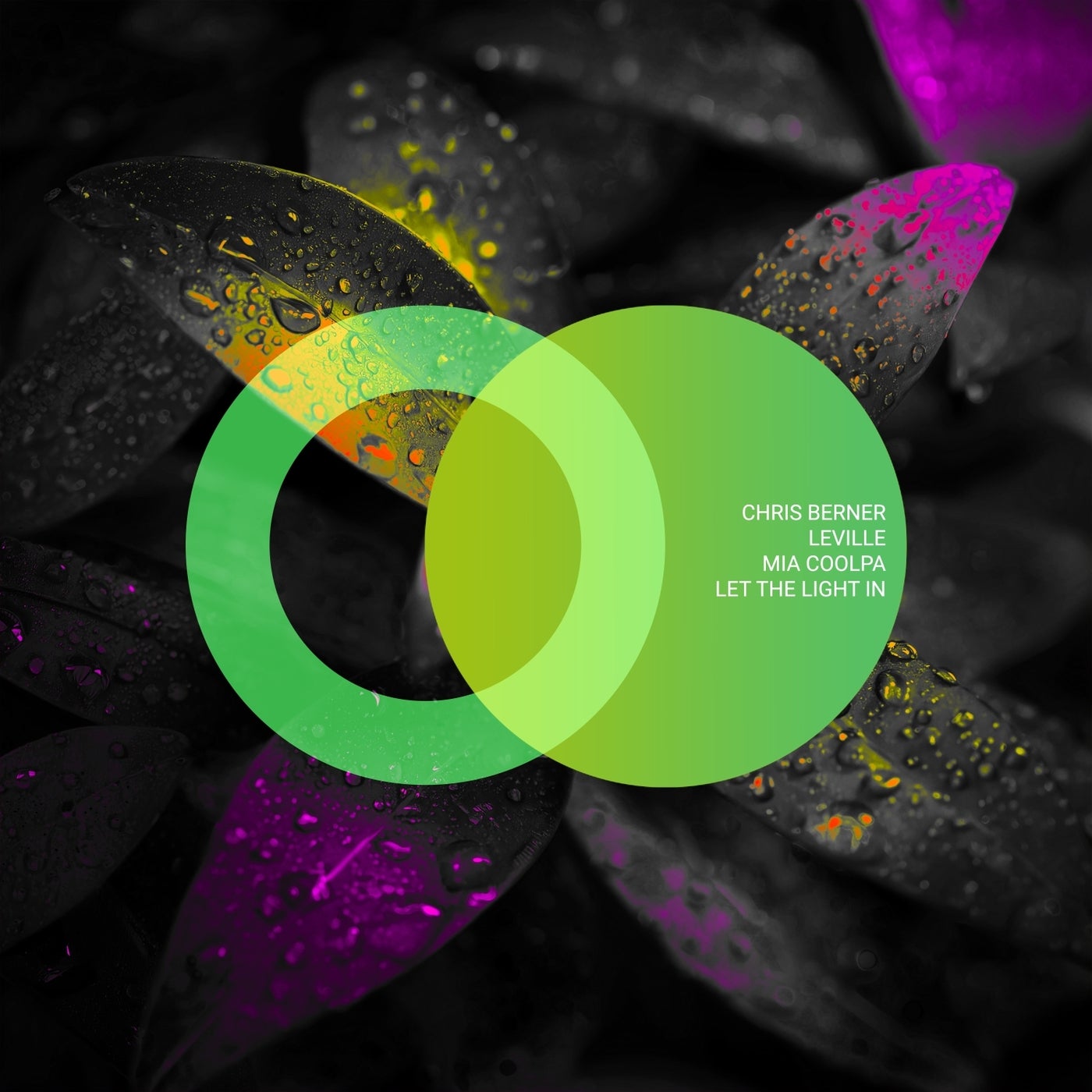 Cover - Chris Berner, Leville, Mia Coolpa - Let the Light In (Original Mix)