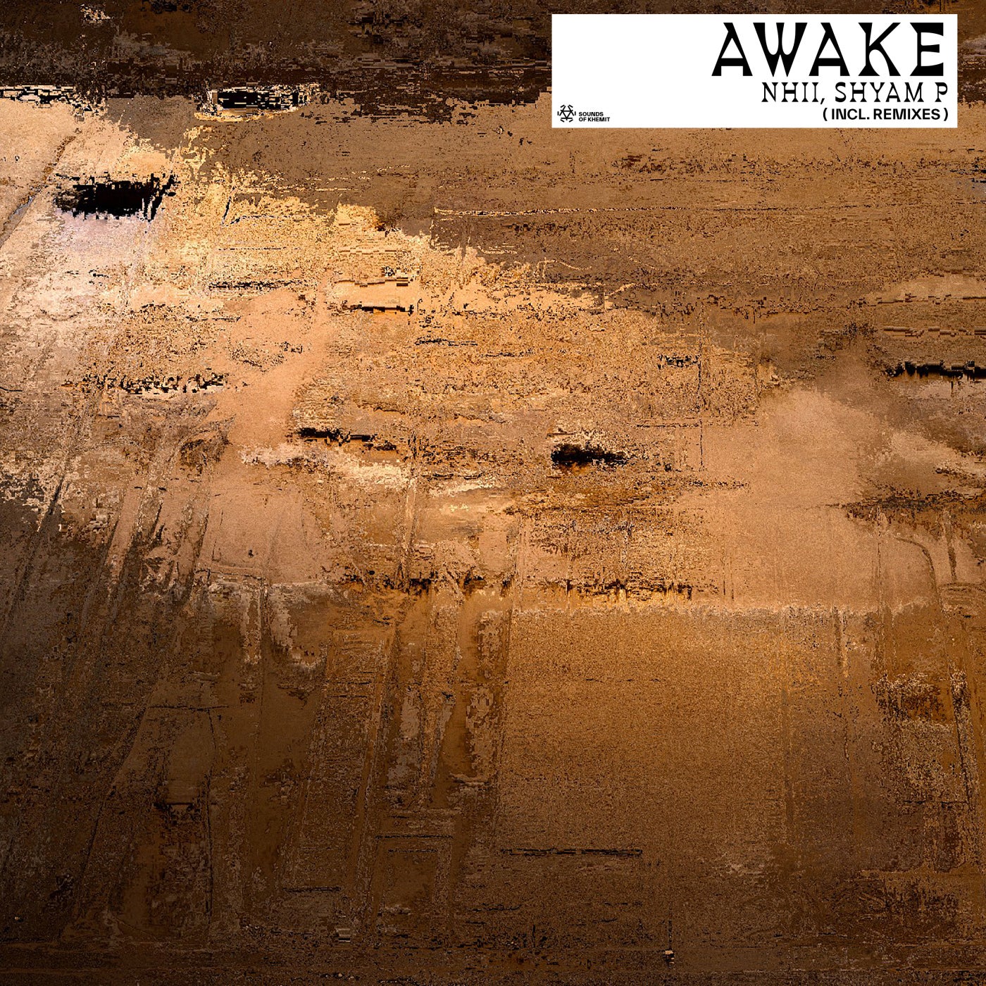Cover - Shyam P, Nhii - Awake (Predex Remix)