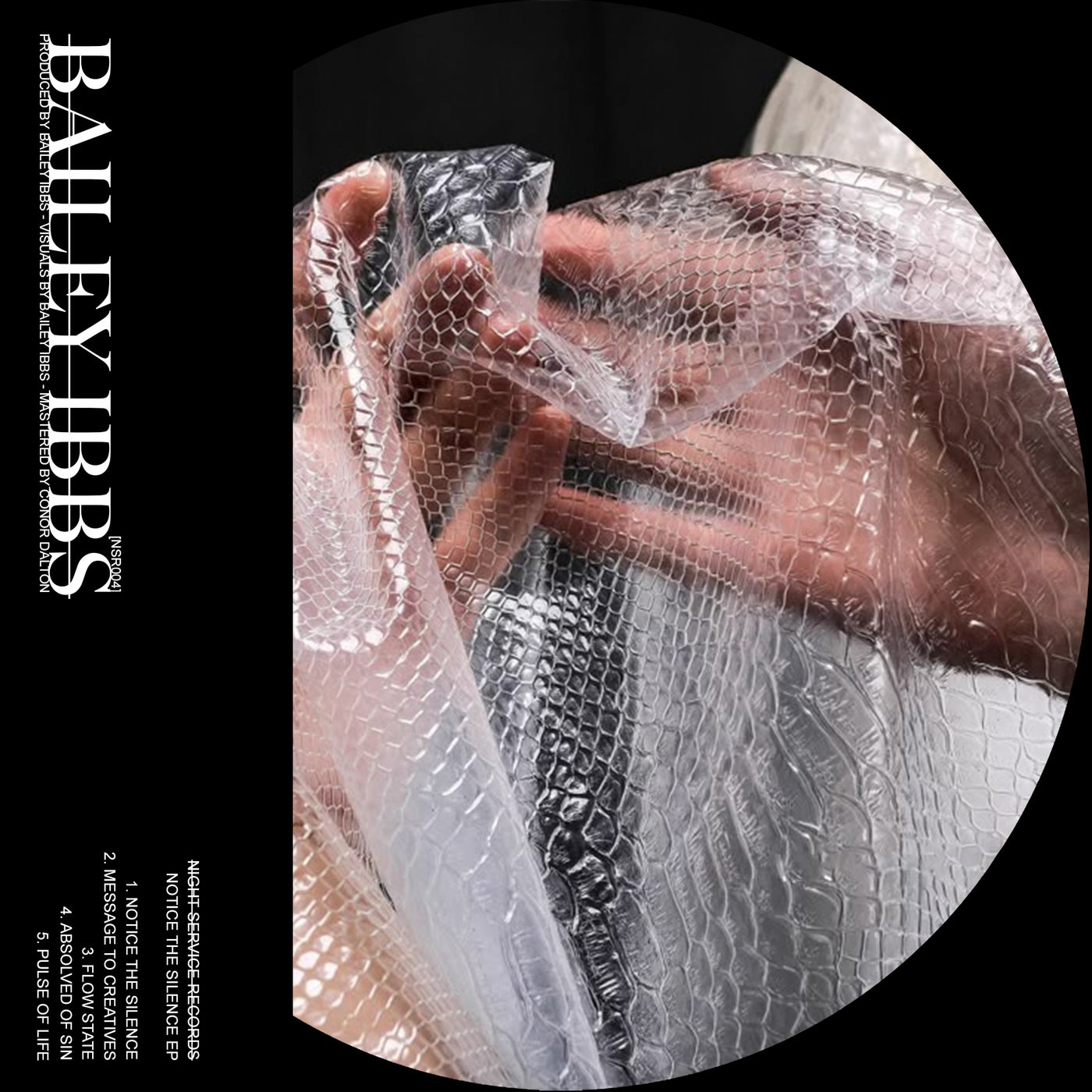 Cover - Bailey Ibbs - Pulse Of Life (Original Mix)