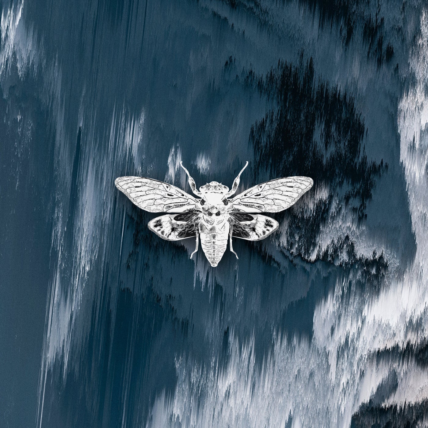 Cover - Arcuri (AR) - Angel (Original Mix)