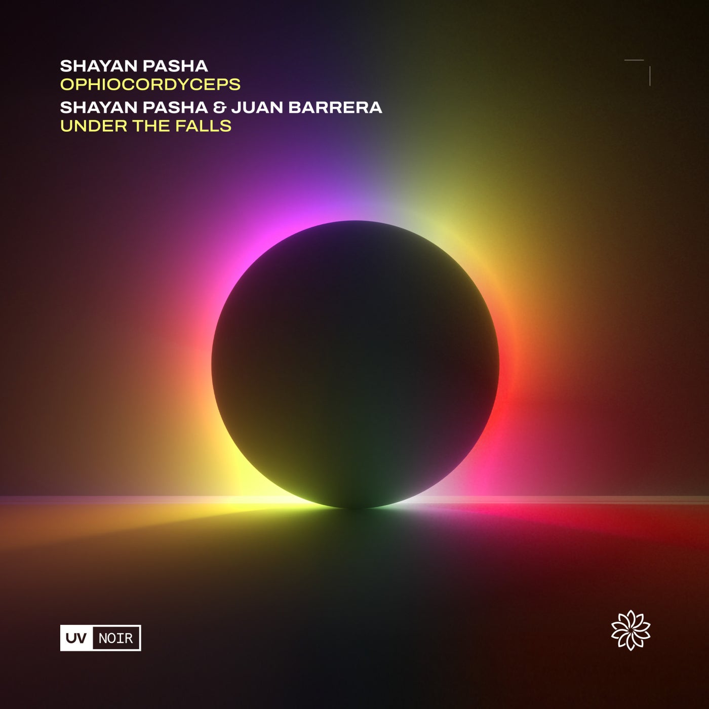 Cover - Juan Barrera, Shayan Pasha - Under the Falls (Original Mix)
