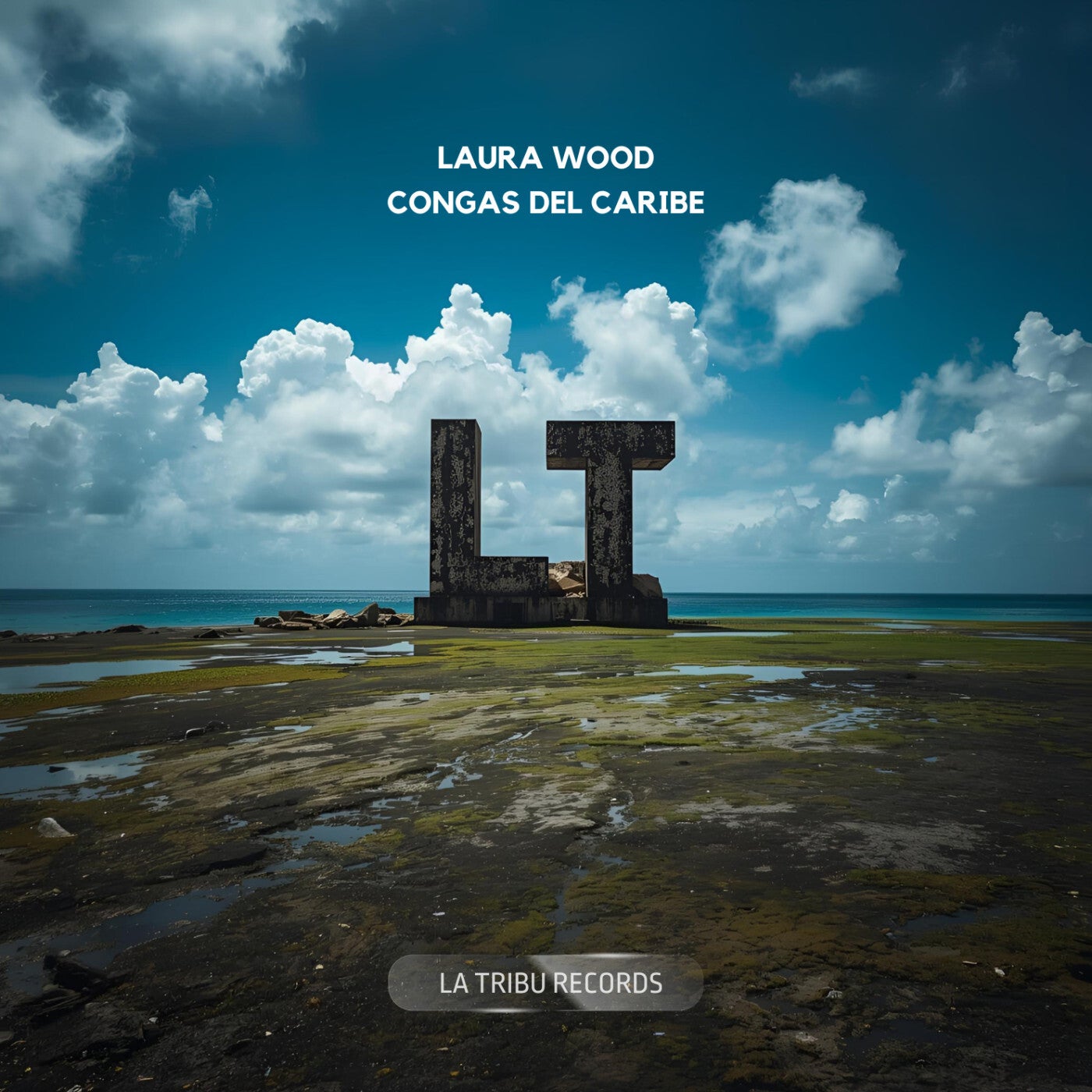 Cover - Laura Wood - Congas del Caribe (Original Mix)