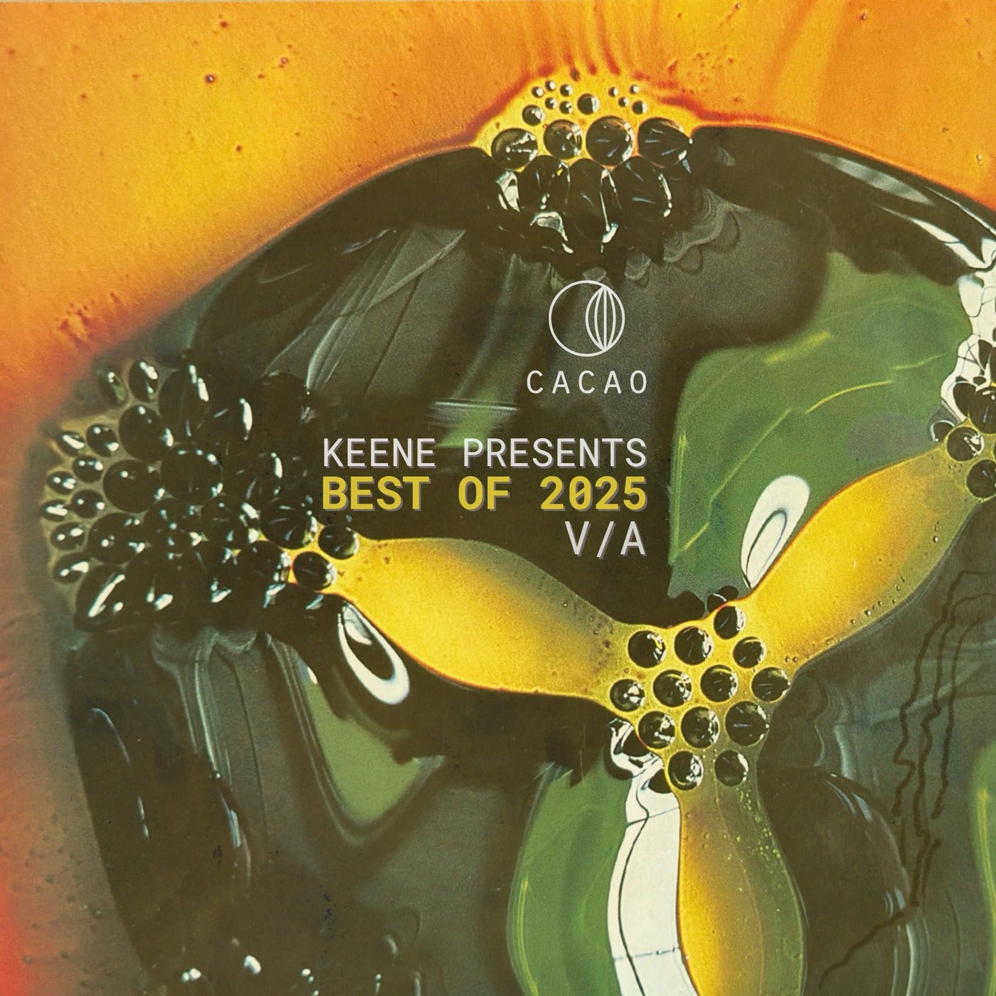 Cover - David Mayer - Jezzebell (Original Mix)