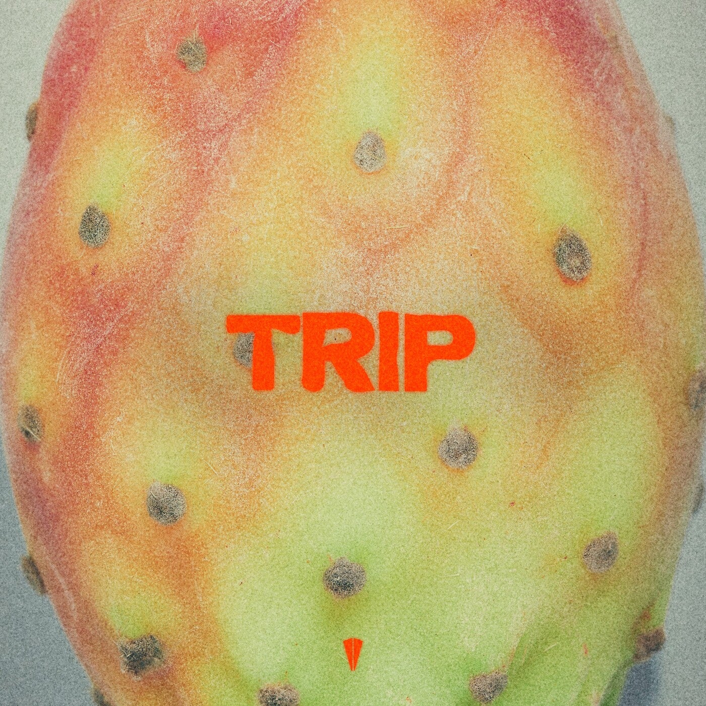 Cover - Konstantin Kobra - Trip (Original Mix)