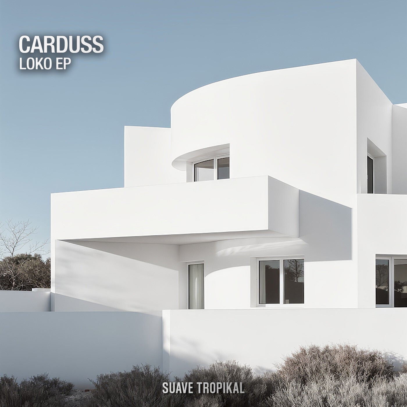 Cover - Carduss - Super Fly (Extended Mix)