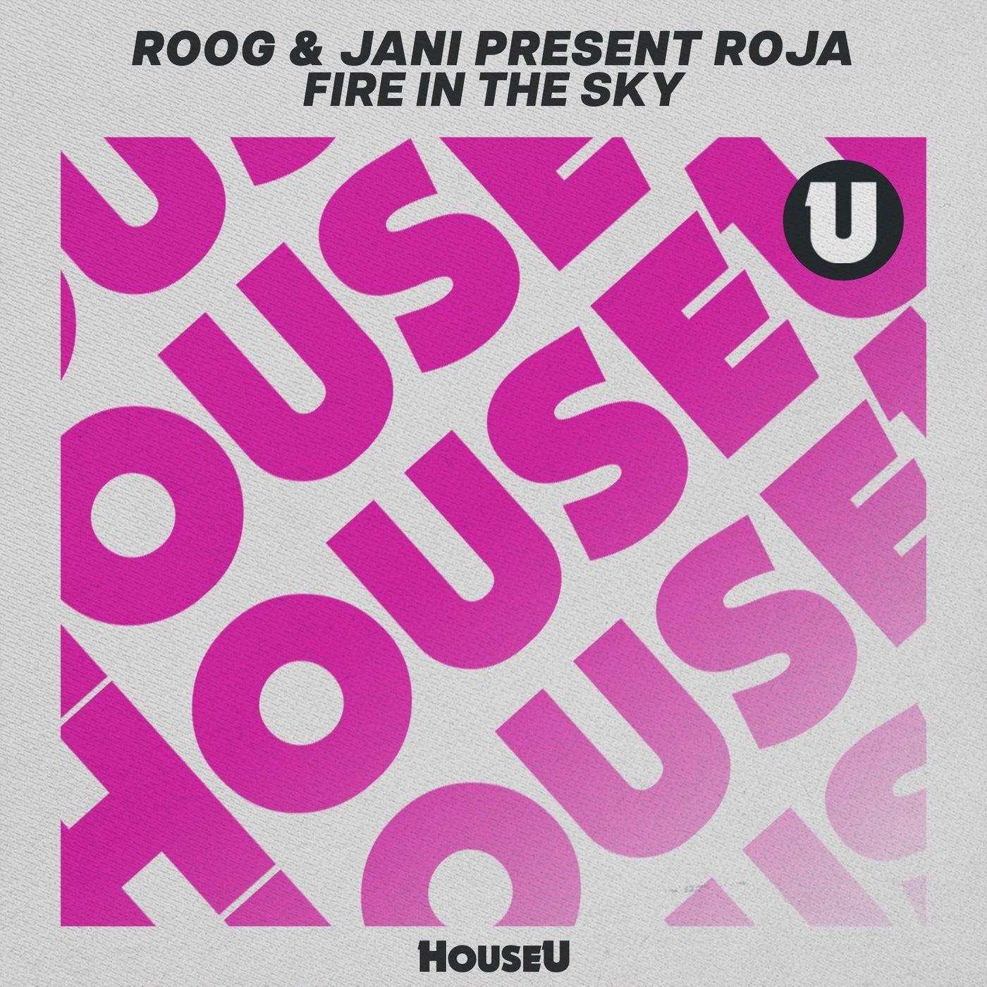 Cover - Roog, Jani present ROJA - Fire in the Sky (Extended Mix)