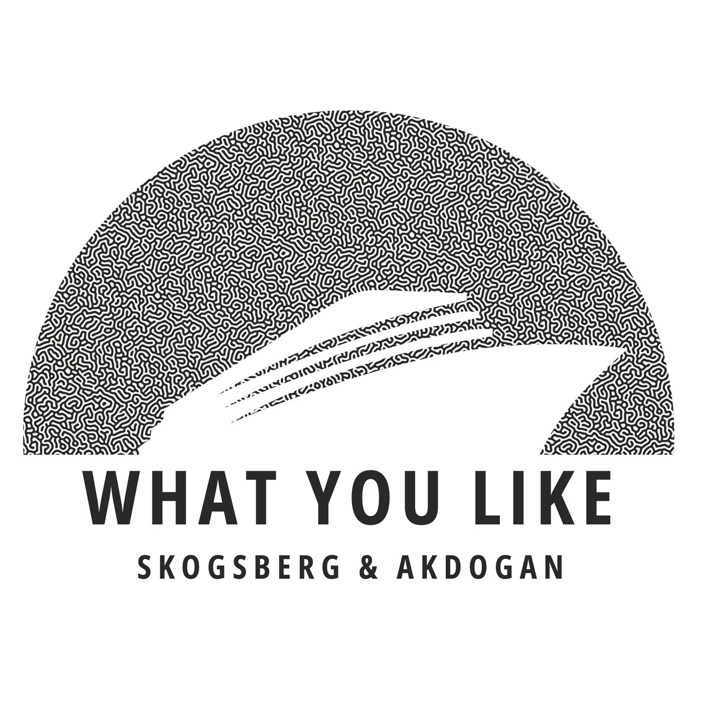 Cover - Skogsberg & Akdogan - What You Like  (Extended Mix)
