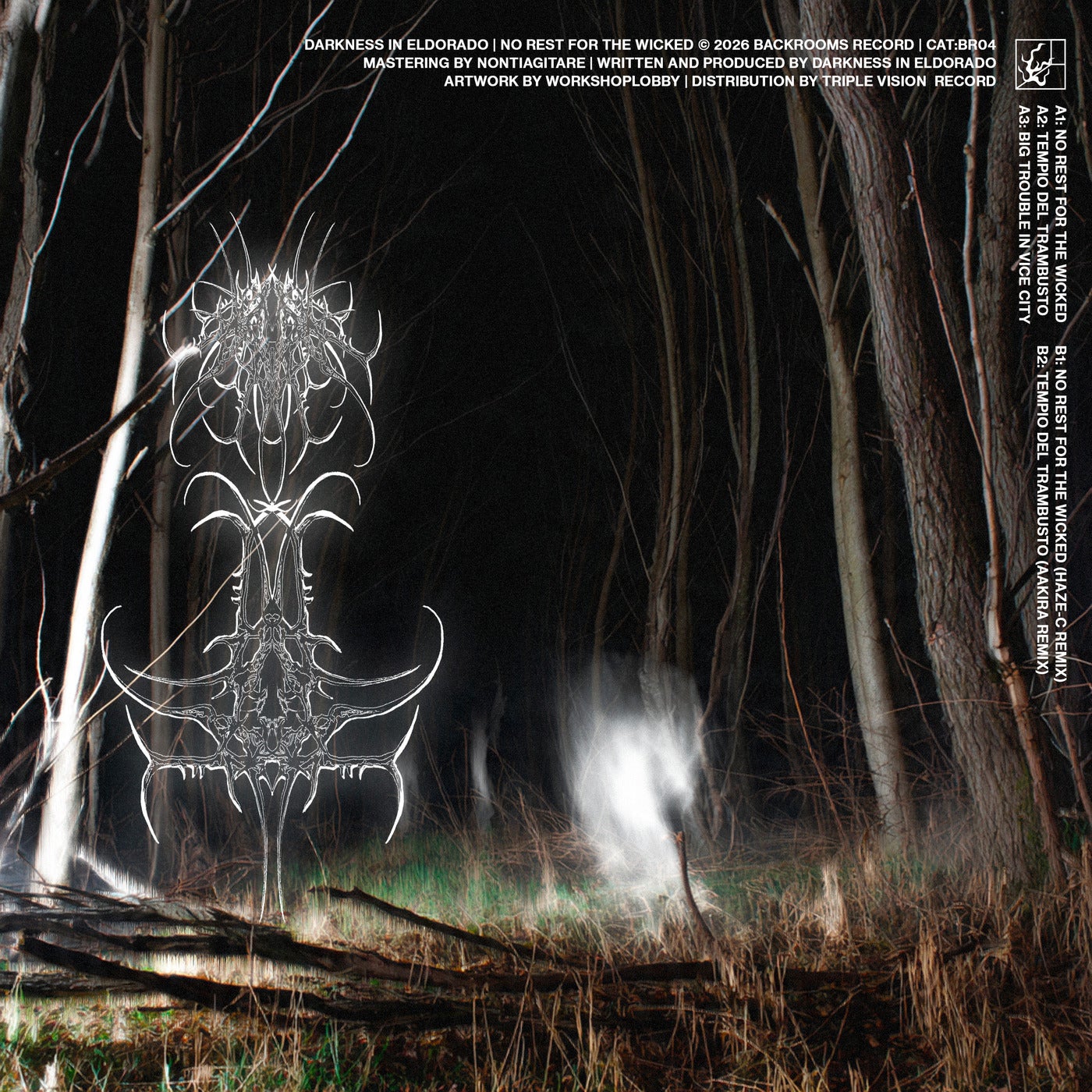 Cover - Darkness In Eldorado, Aakira - Tempio Del Trambusto feat. Aakira ((Aakira Remix))