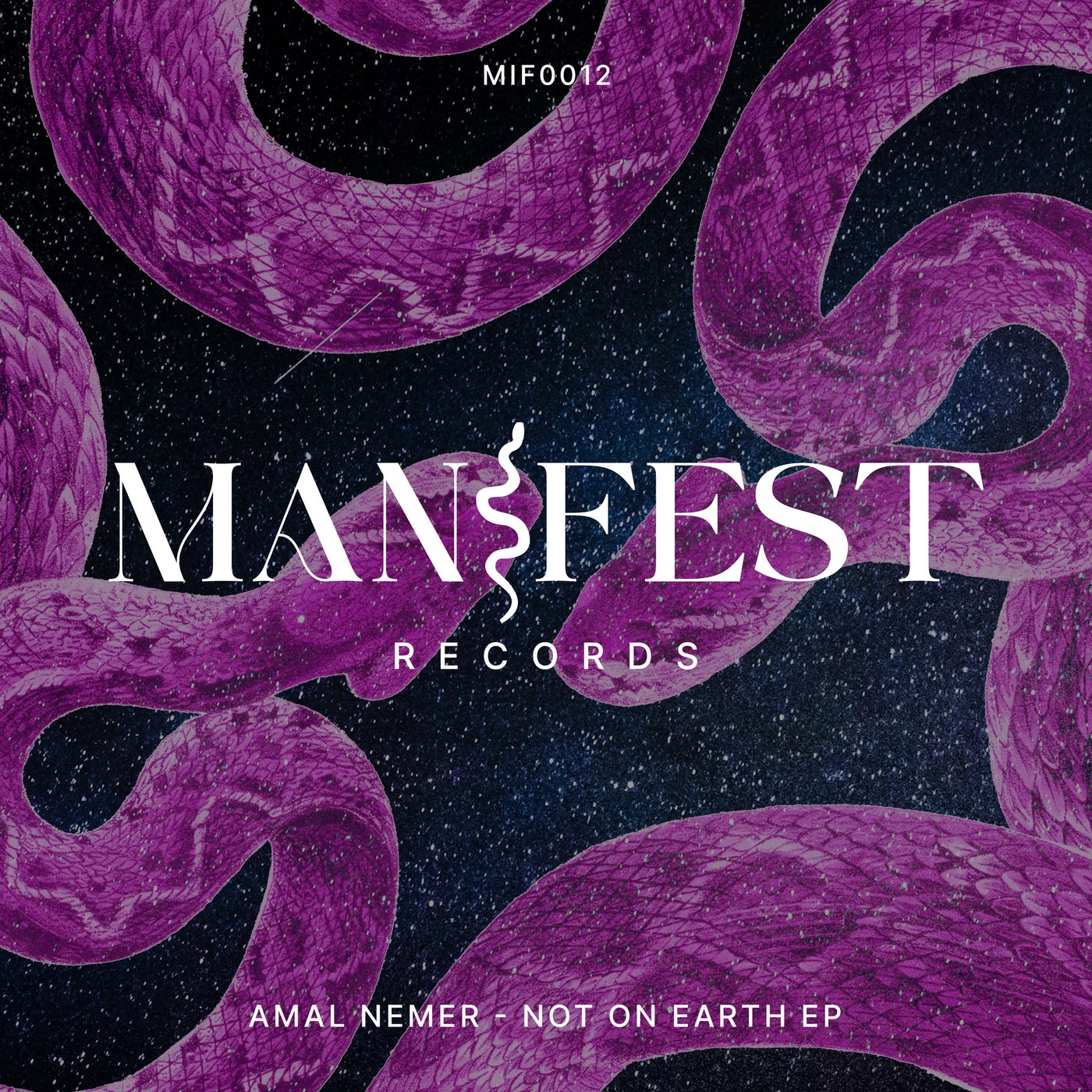 Cover - Amal Nemer - Not On Earth  (Original Mix)