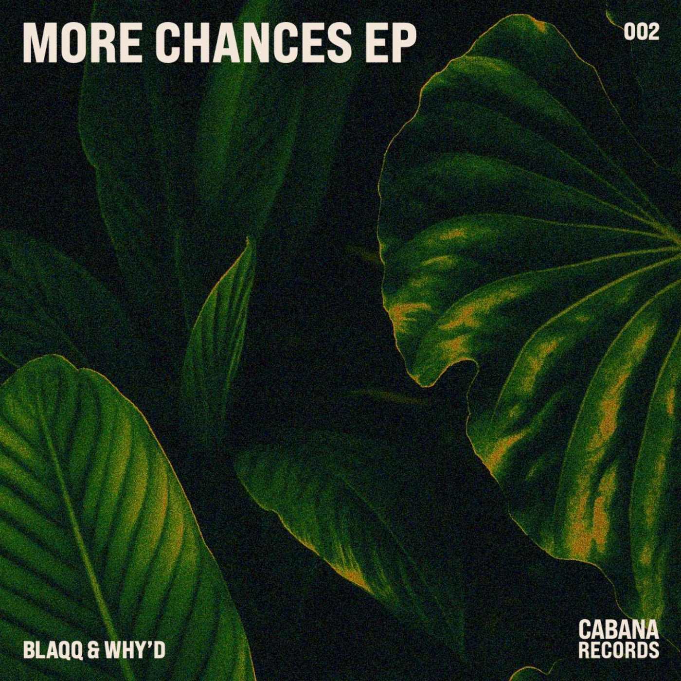 Cover - Blaqq & Why'd - More Chances  (Original Mix)