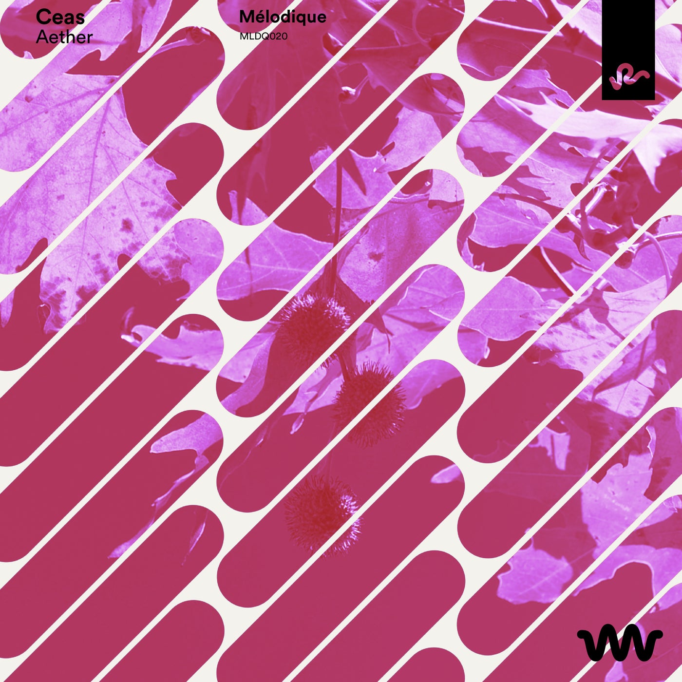 Cover - Ceas - In The Clouds (Original Mix)