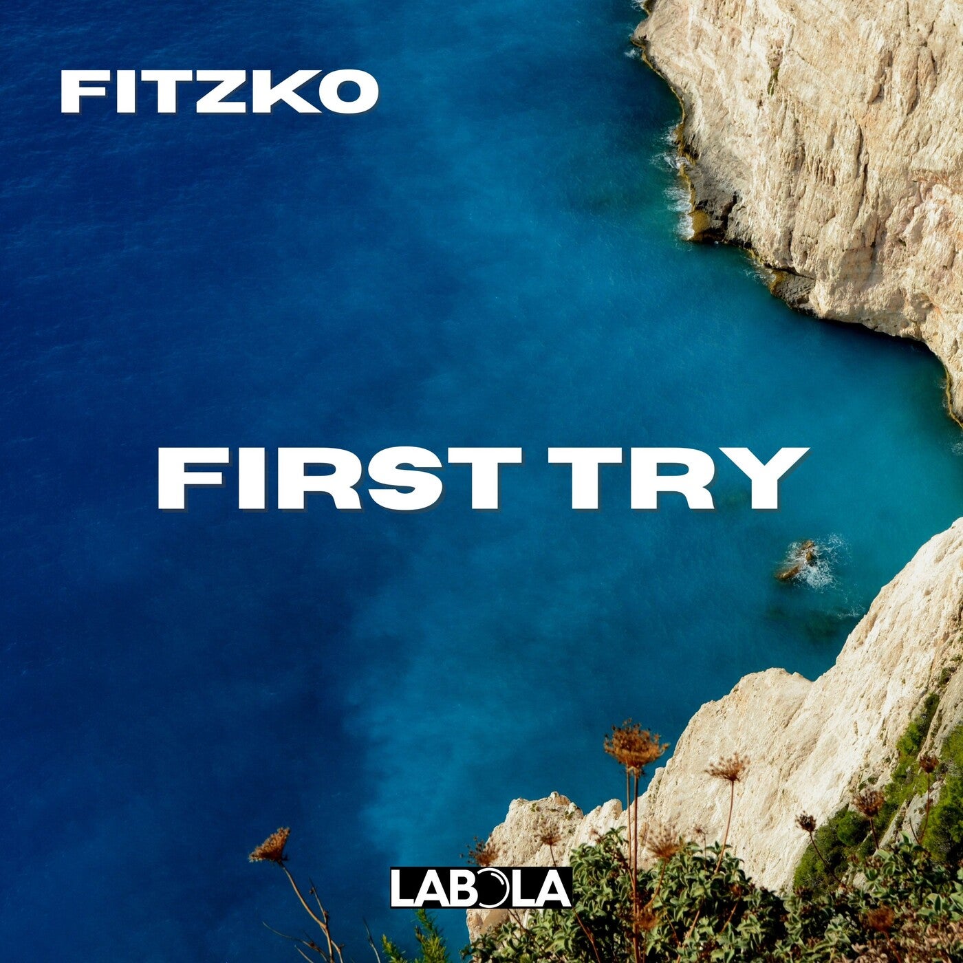 Cover - Fitzko - First Try (Original Mix)