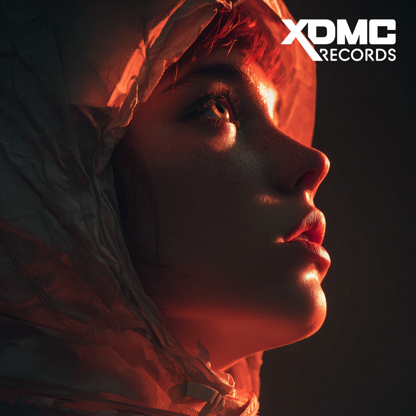 Cover - Zerotonine - Afterlight (Original Mix)