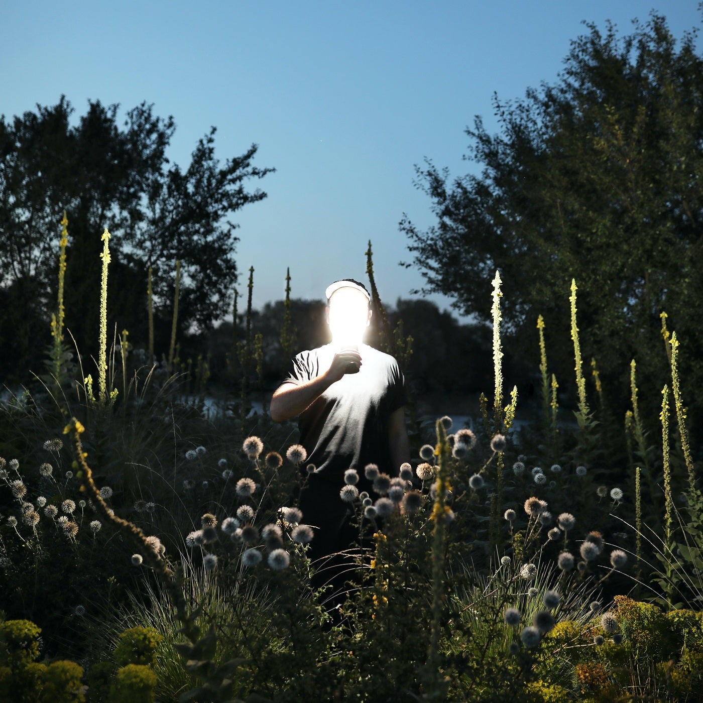 Cover - Ruede Hagelstein - DJ IBAN in the House (Original Mix)