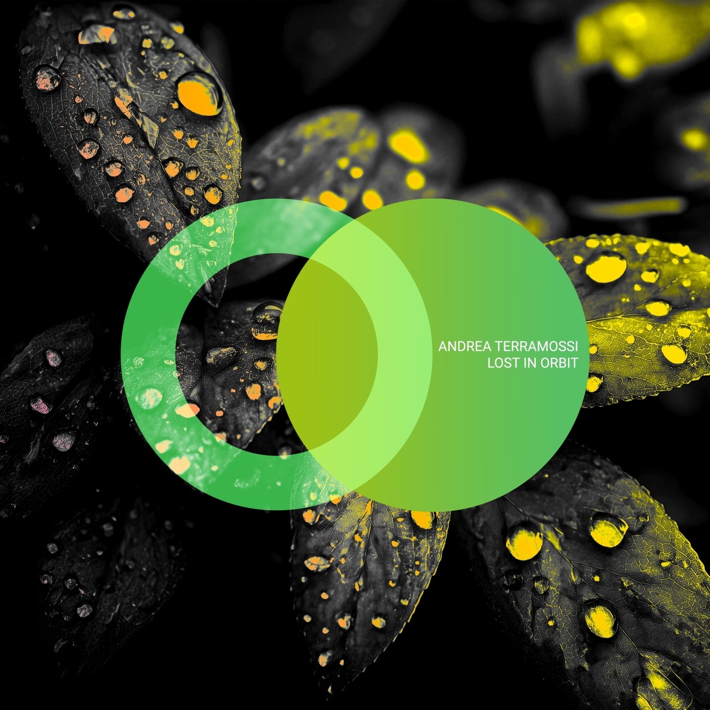 Cover - Andrea Terramossi - Flow for My Head (Original Mix)