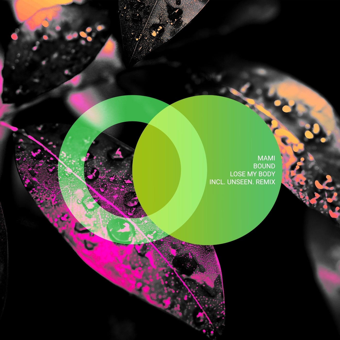 Cover - Bound, MAMI (ofc) - Lose My Body (Original Mix)