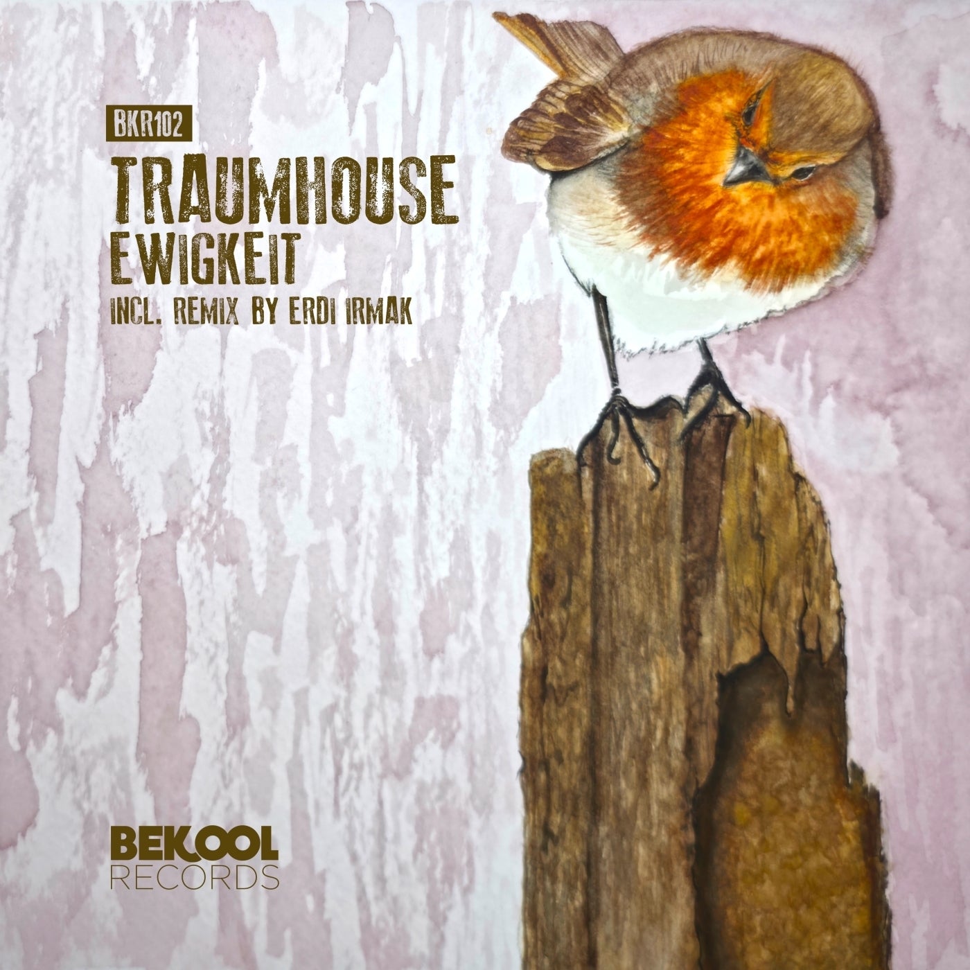 Cover - Traumhouse - Ewigkeit (Erdi Irmak Remix)