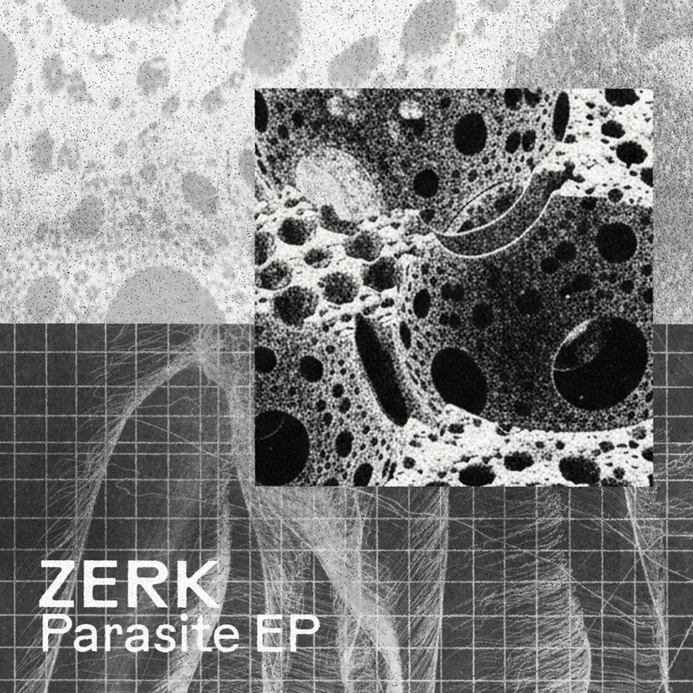 Cover - Zerk (SA) - The Host (Original Mix)