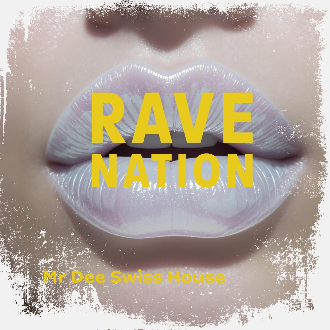 Cover - Mr Dee Swiss House - RAVE NATION (Original Mix)