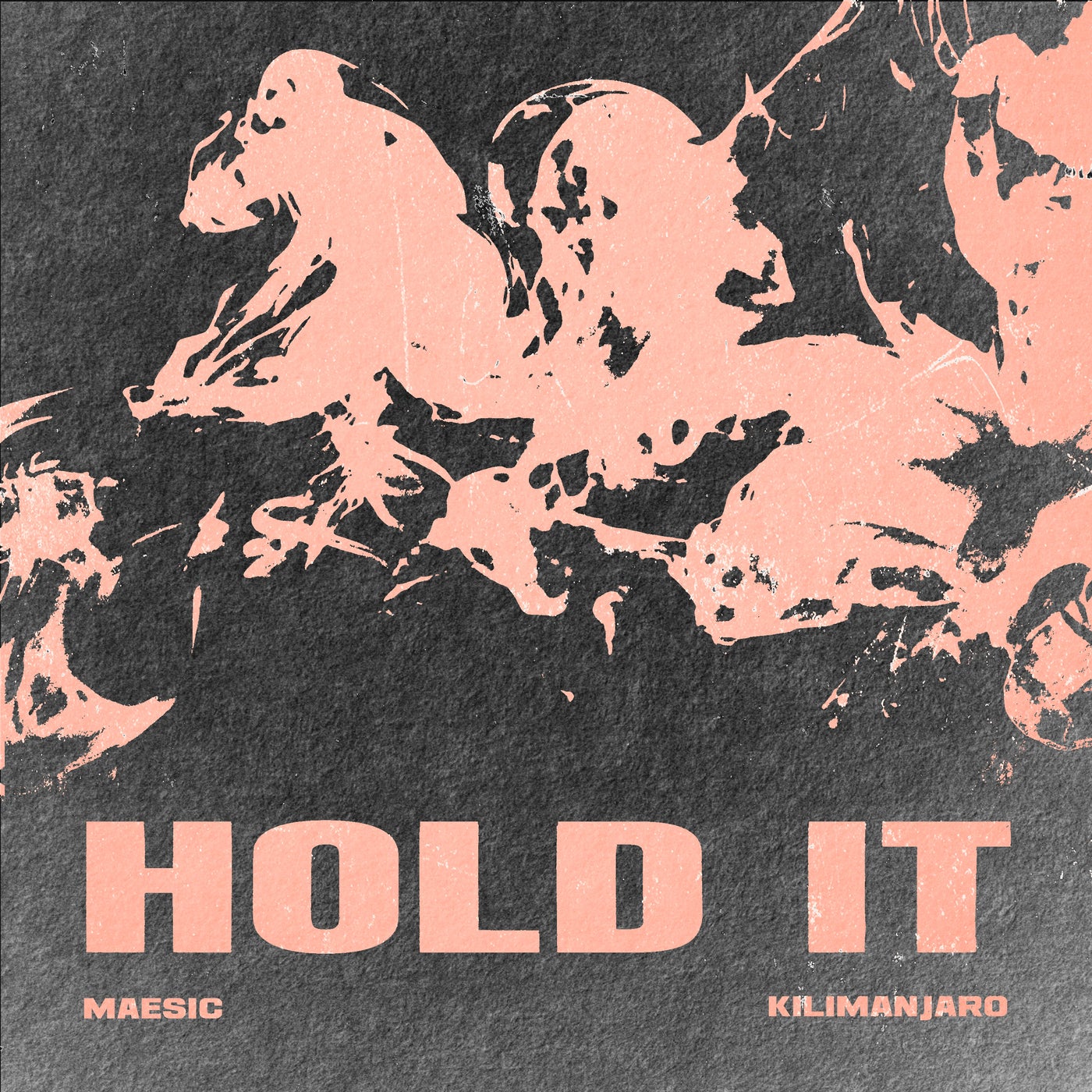 Cover - Maesic, KILIMANJARO, Zentola - Hold It (Extended Mix)