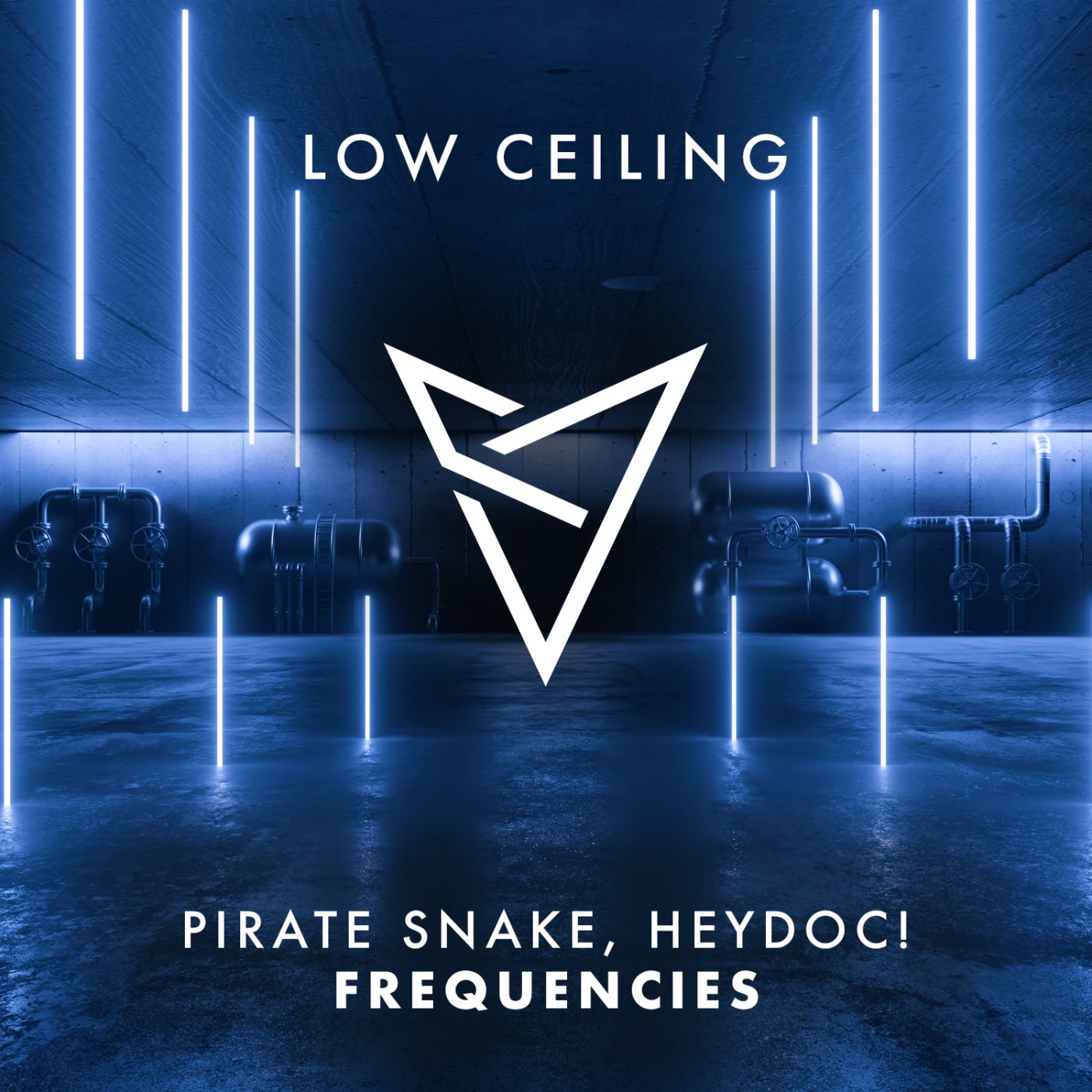 Cover - HeyDoc!, Pirate Snake - FREQUENCIES (Extended Mix)