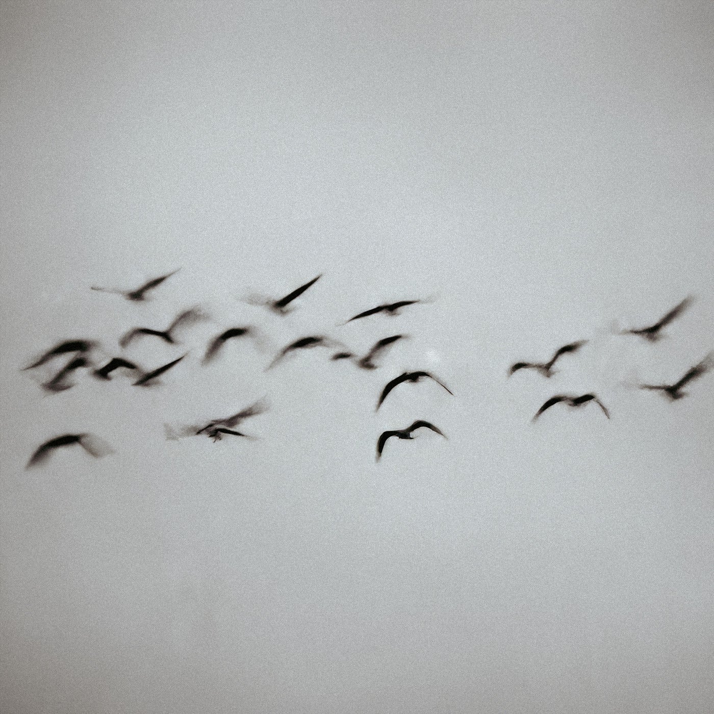 Cover - TWO LANES, Nohr - Sign (Revision) (Extended Mix)