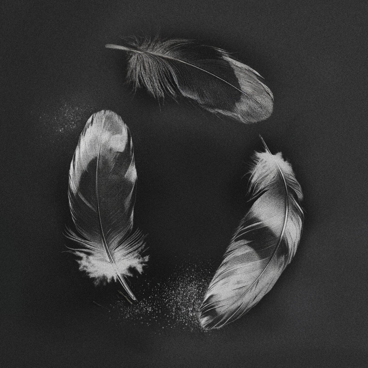 Cover - SLANDER, NGHTMRE, ZOHARA - Free (Original Mix)