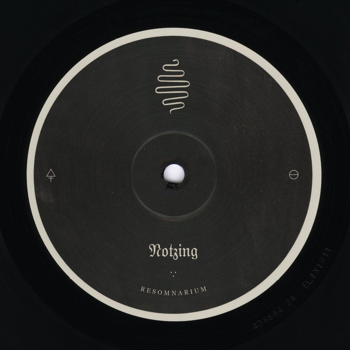 Cover - Notzing - Foresta (Original Mix)