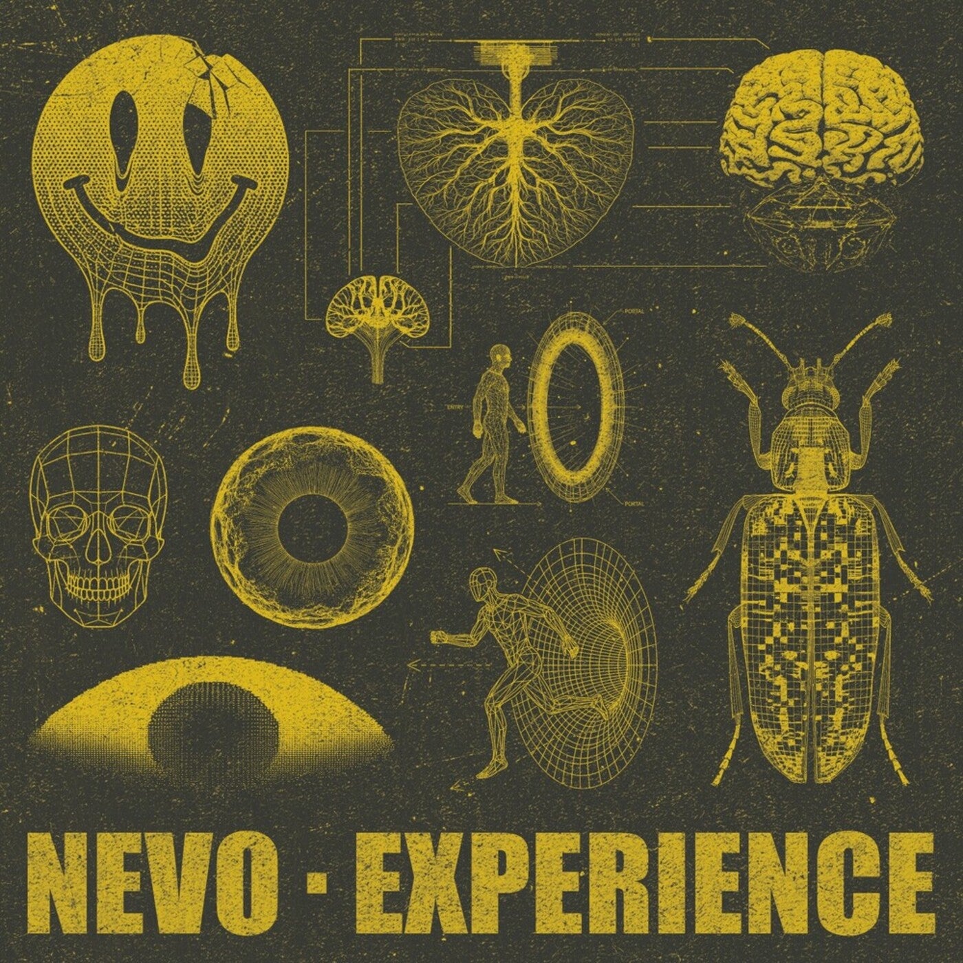 Cover - Nevo - Experience (Original Mix)