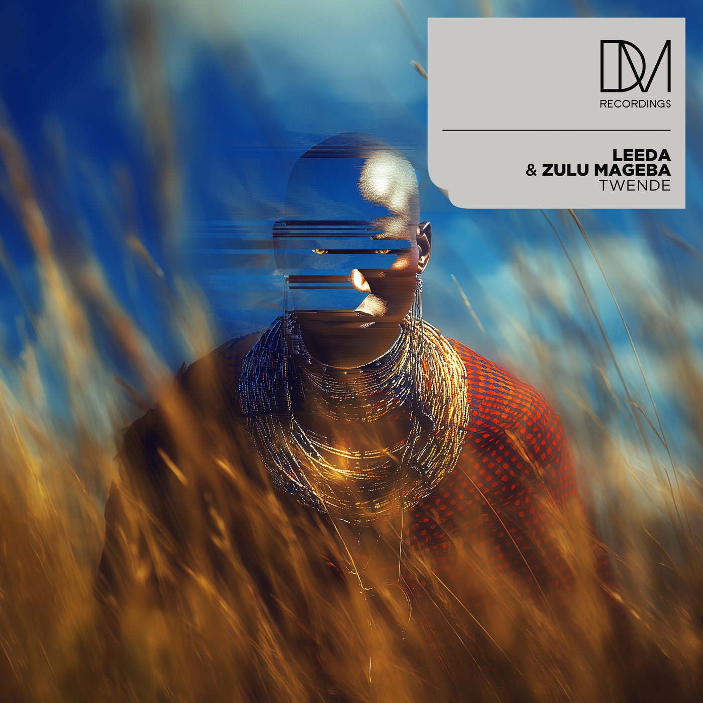 Cover - Zulu Mageba, Leeda - Twende (Original Mix)