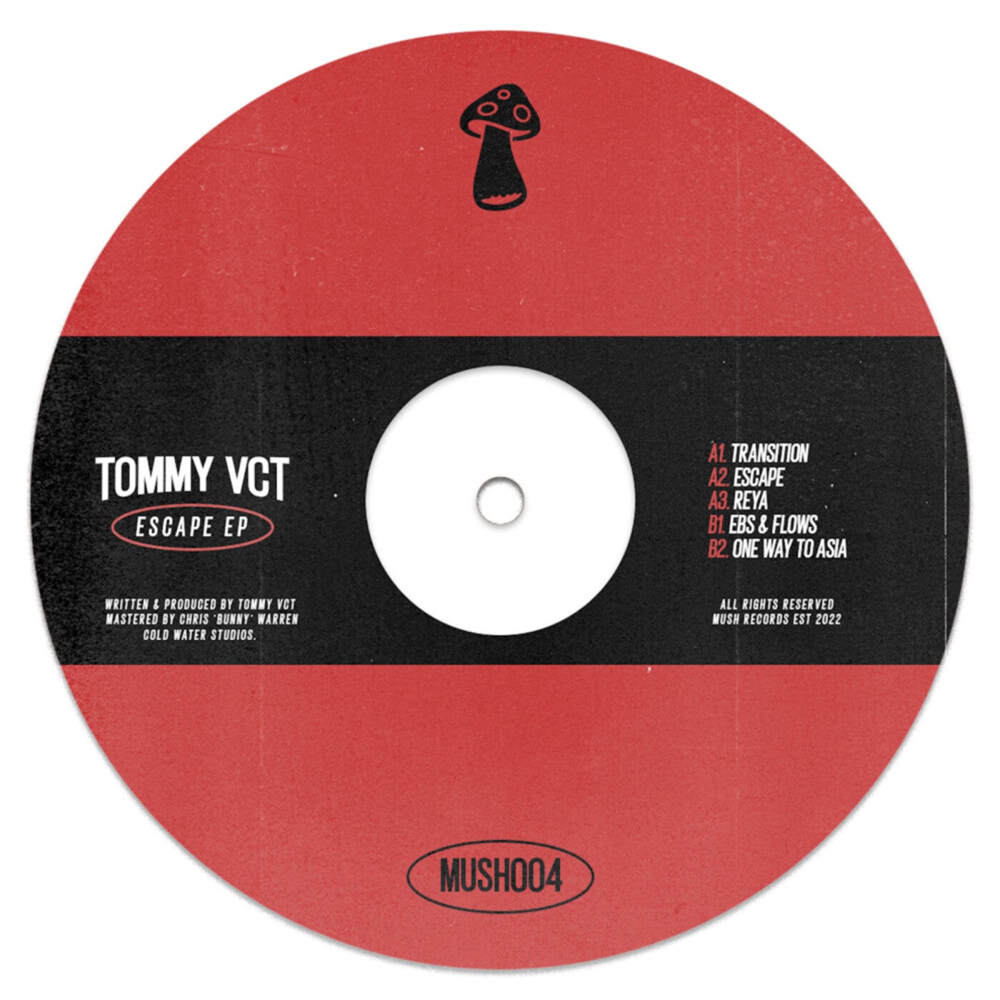 Cover - Tommy Vercetti, Tommy VCT - Ebs & Flows (Extended Mix)