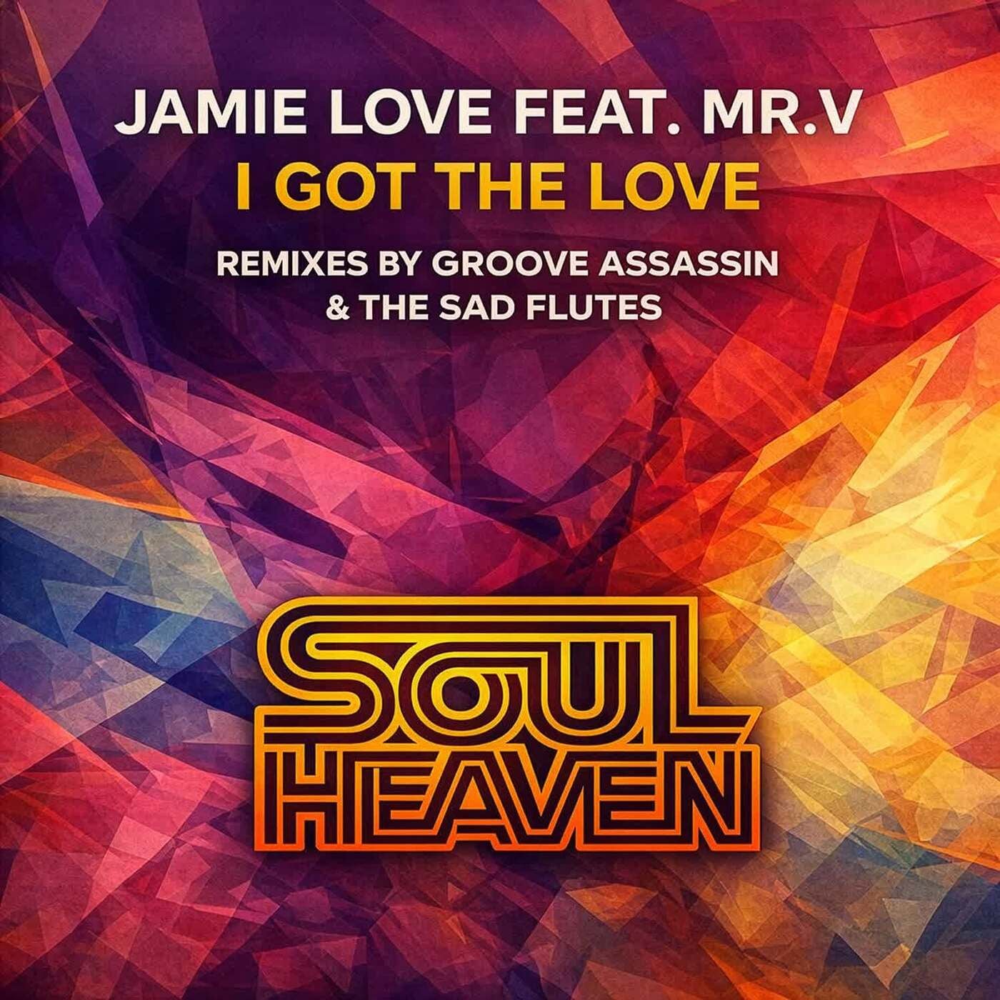 Cover - Mr. V, Jamie Love - I Got the Love (Groove Assassin Main Remix)