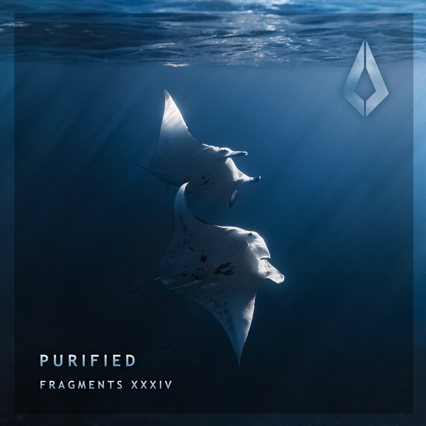 Cover - Verbala - Nami (Extended Mix)