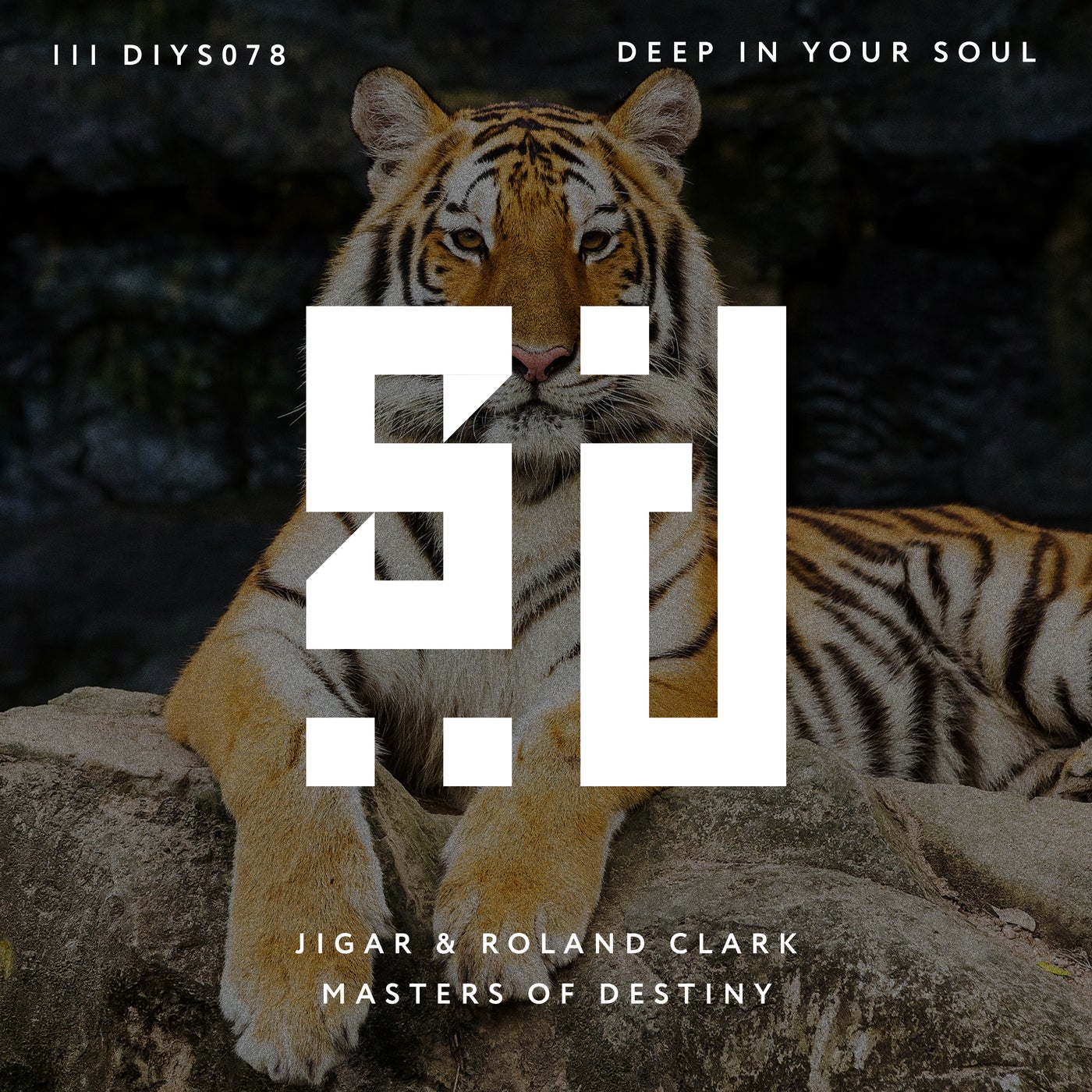 Cover - Roland Clark, DJ Jigar - Masters of Destiny (Original Mix)