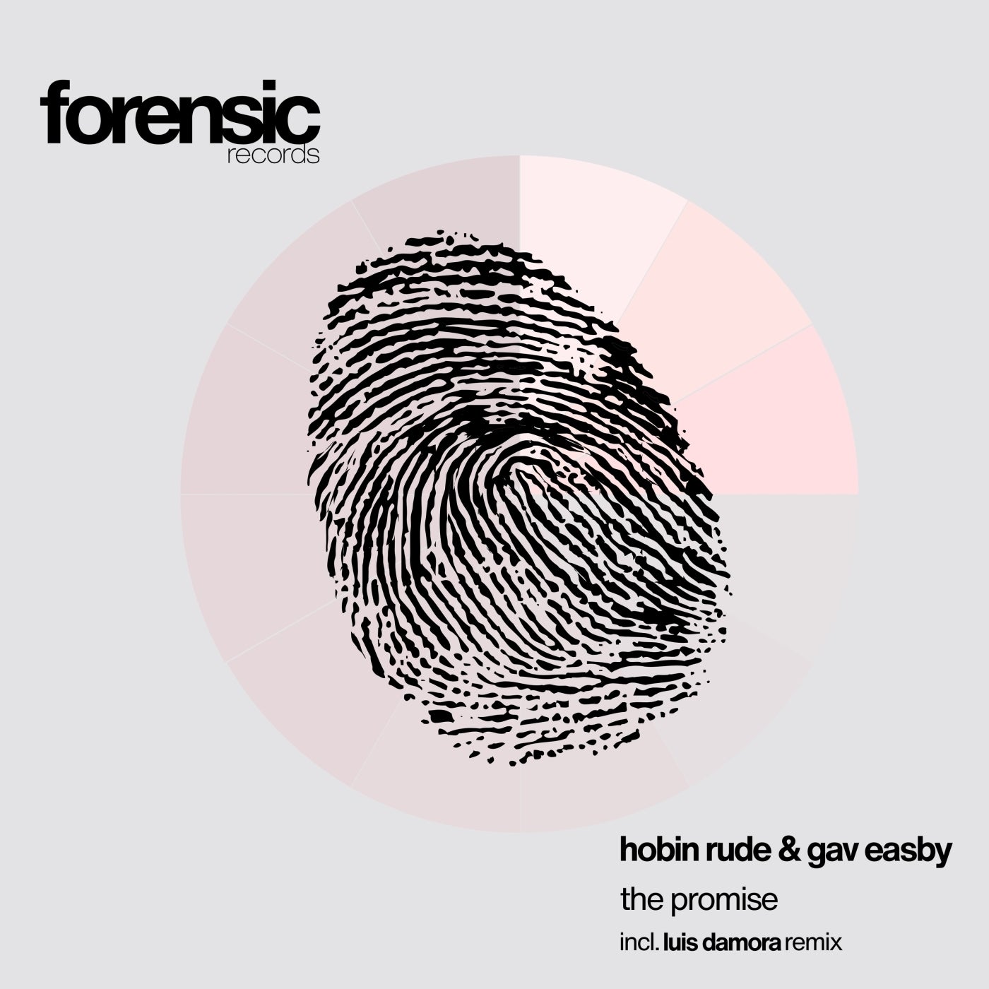 Cover - Gav Easby, Hobin Rude - The Promise (Original Mix)