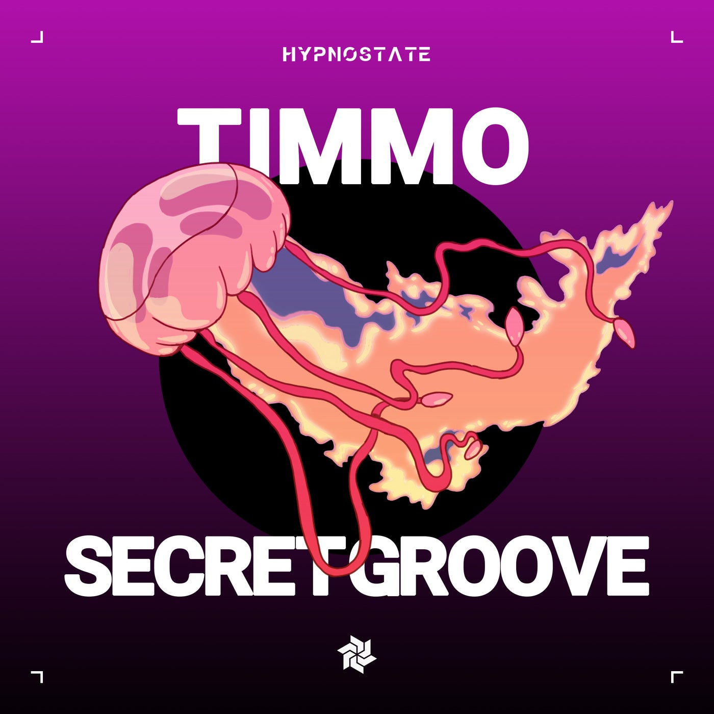 Cover - Timmo - Secret Groove (Extended Mix)