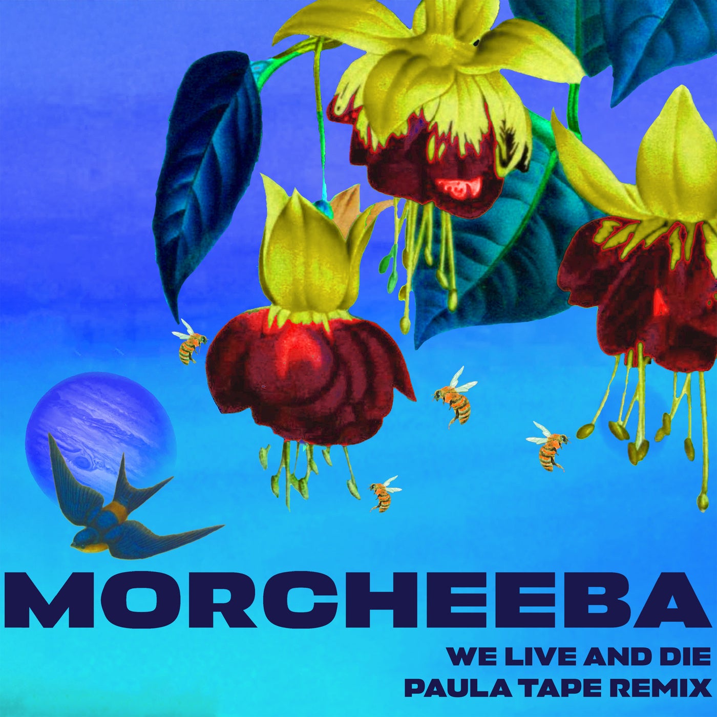 Cover - Morcheeba - We Live And Die (Paula Tape Remix)
