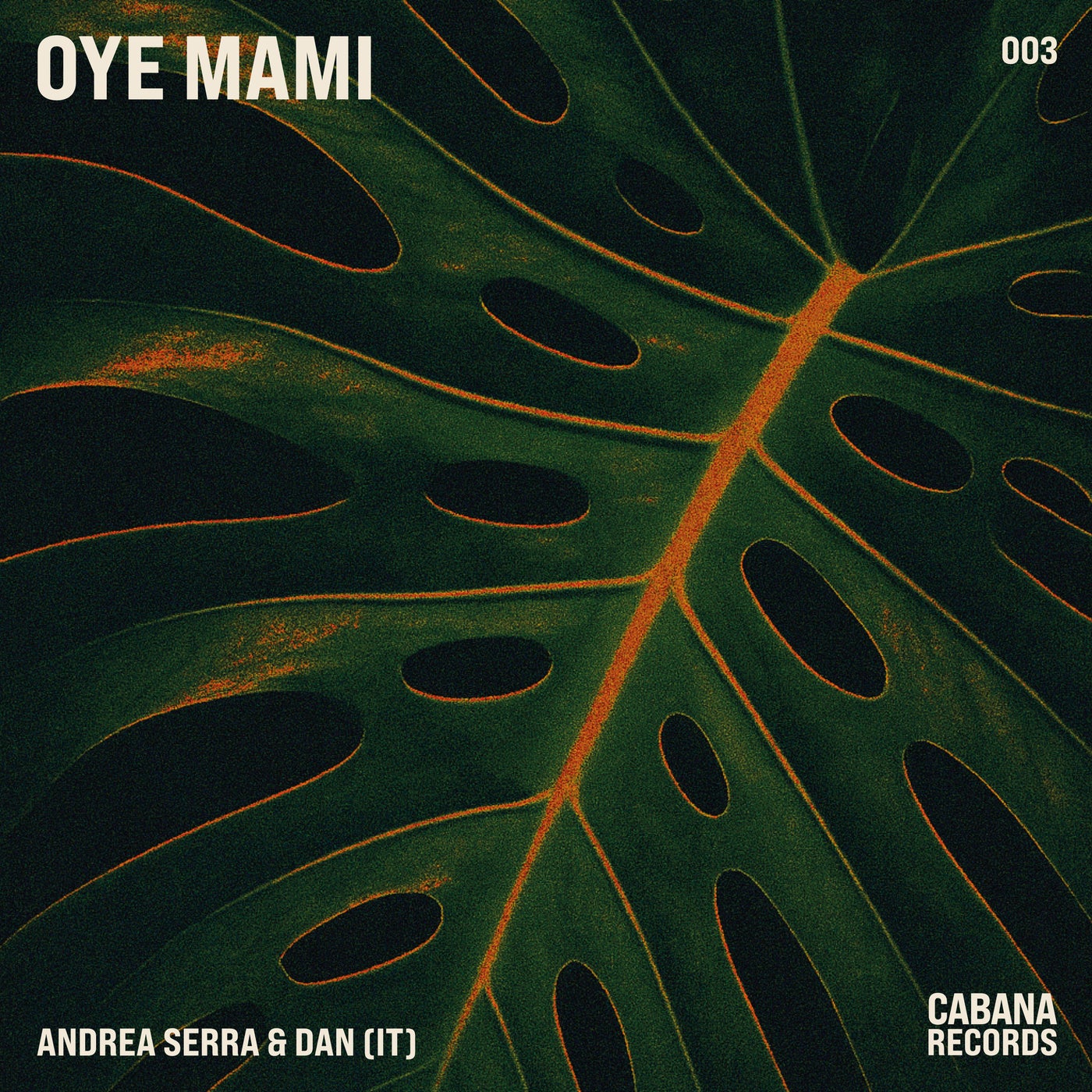 Cover - DAN (IT), Andrea Serra (ITA) - Oye Mami (Original Mix)