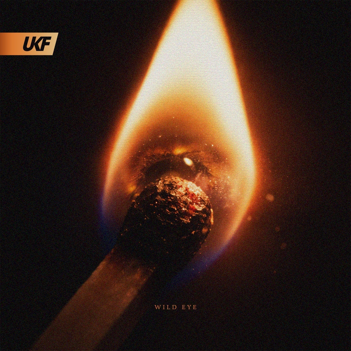 Cover - Blooom, JYXE - WILD EYE feat. JYXE (Original Mix)