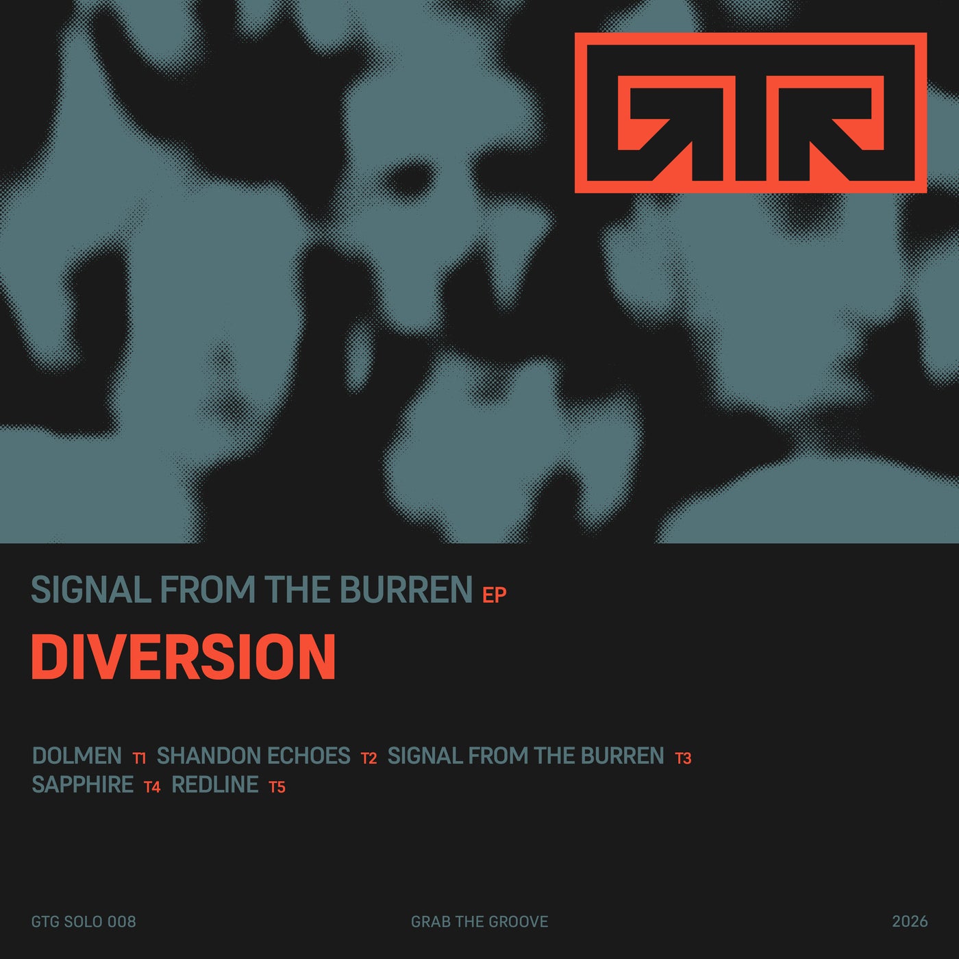 Cover - Diversion - Shandon Echoes (Original Mix)