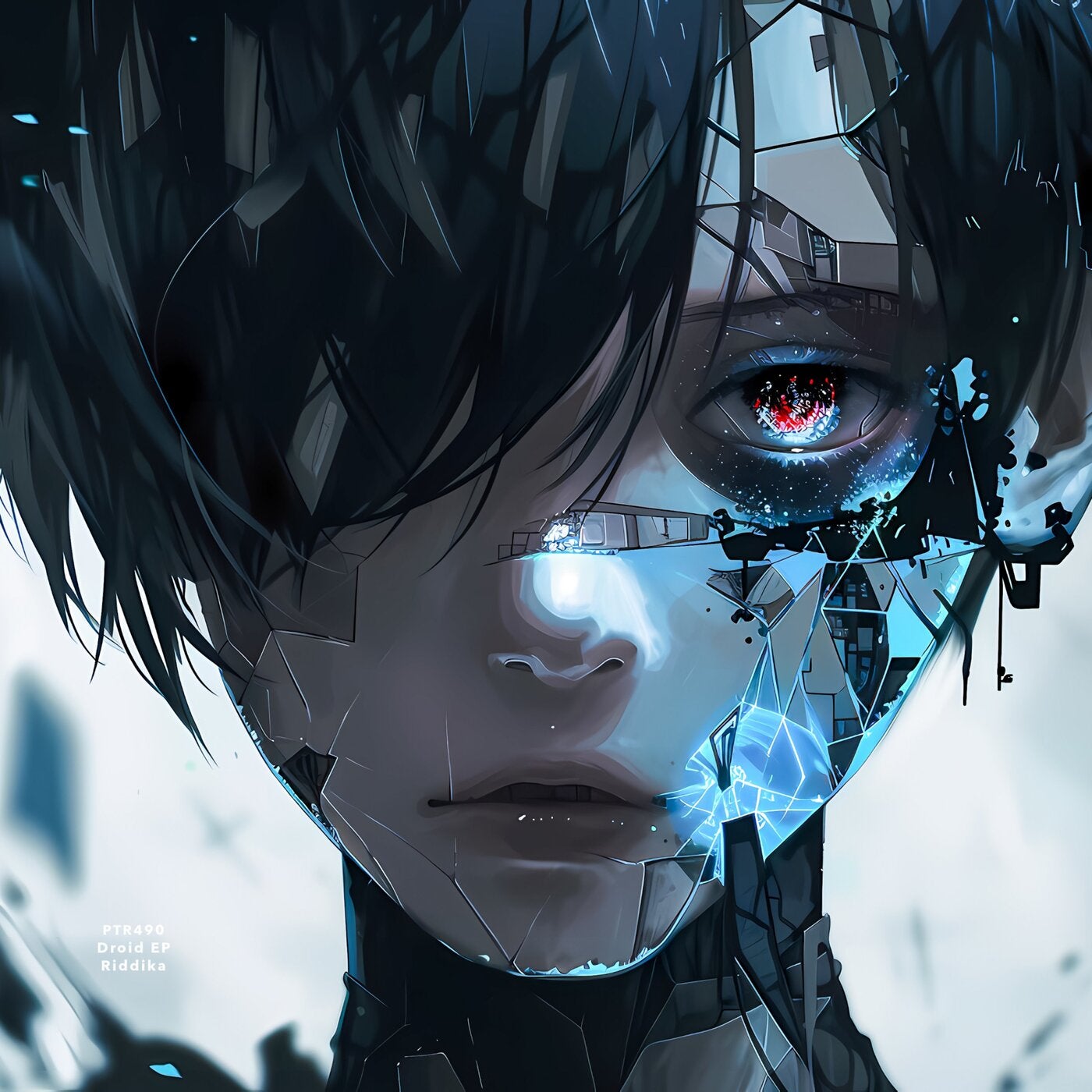 Cover - Riddika - Signal (Original Mix)