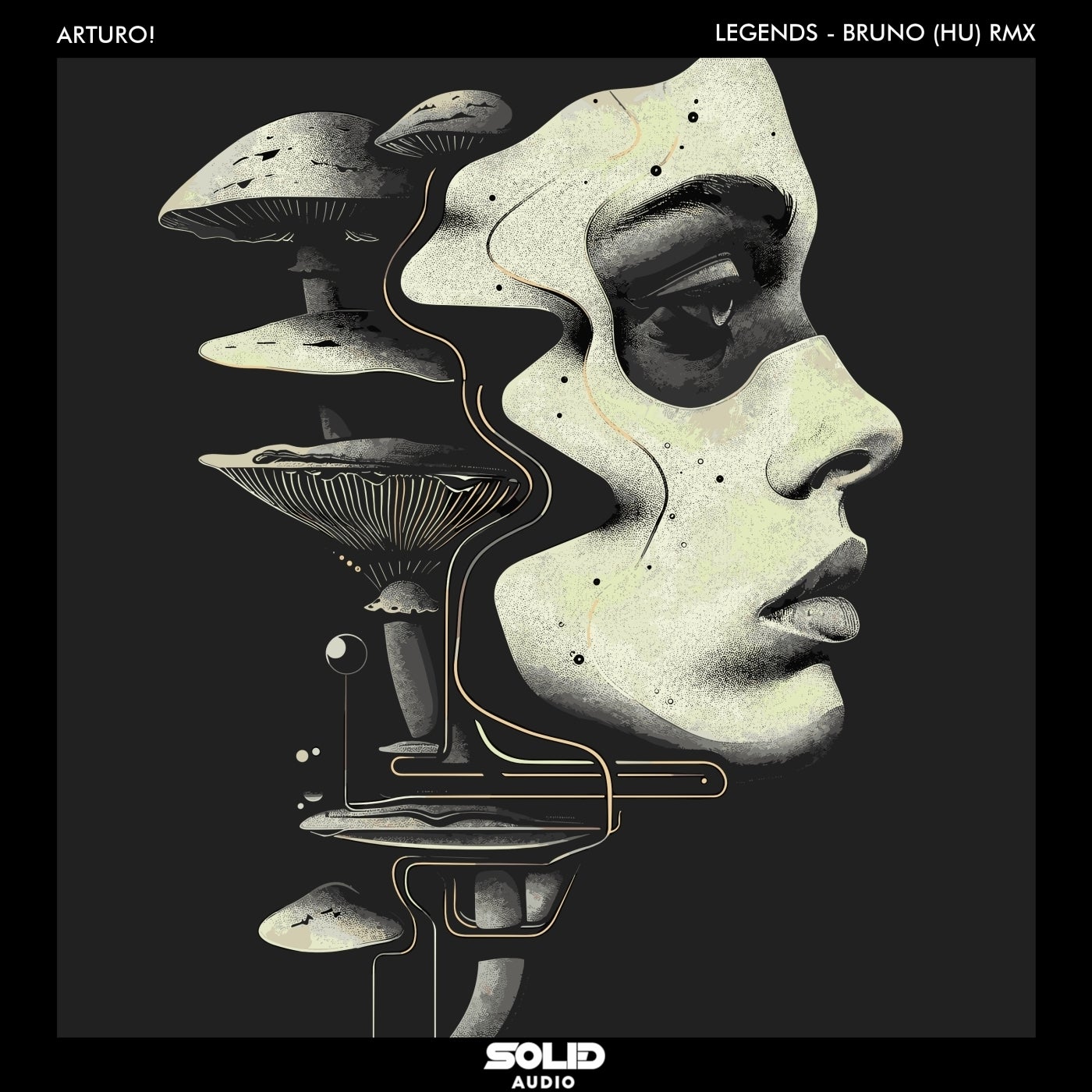 Cover - ARTURO! - Legends Are Made (Bruno (HU) Remix)