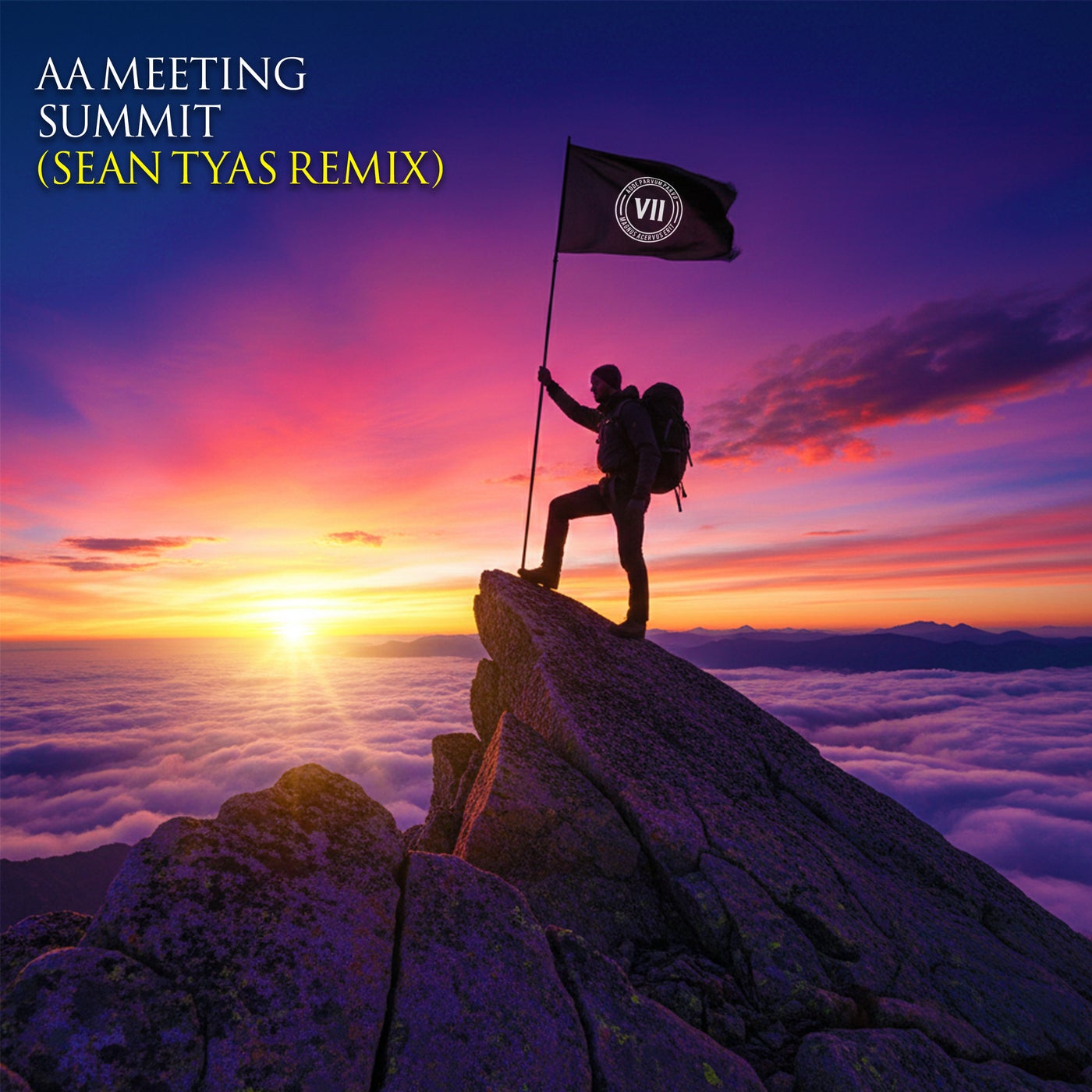 Cover - AA Meeting - Summit (Sean Tyas Extended Remix)