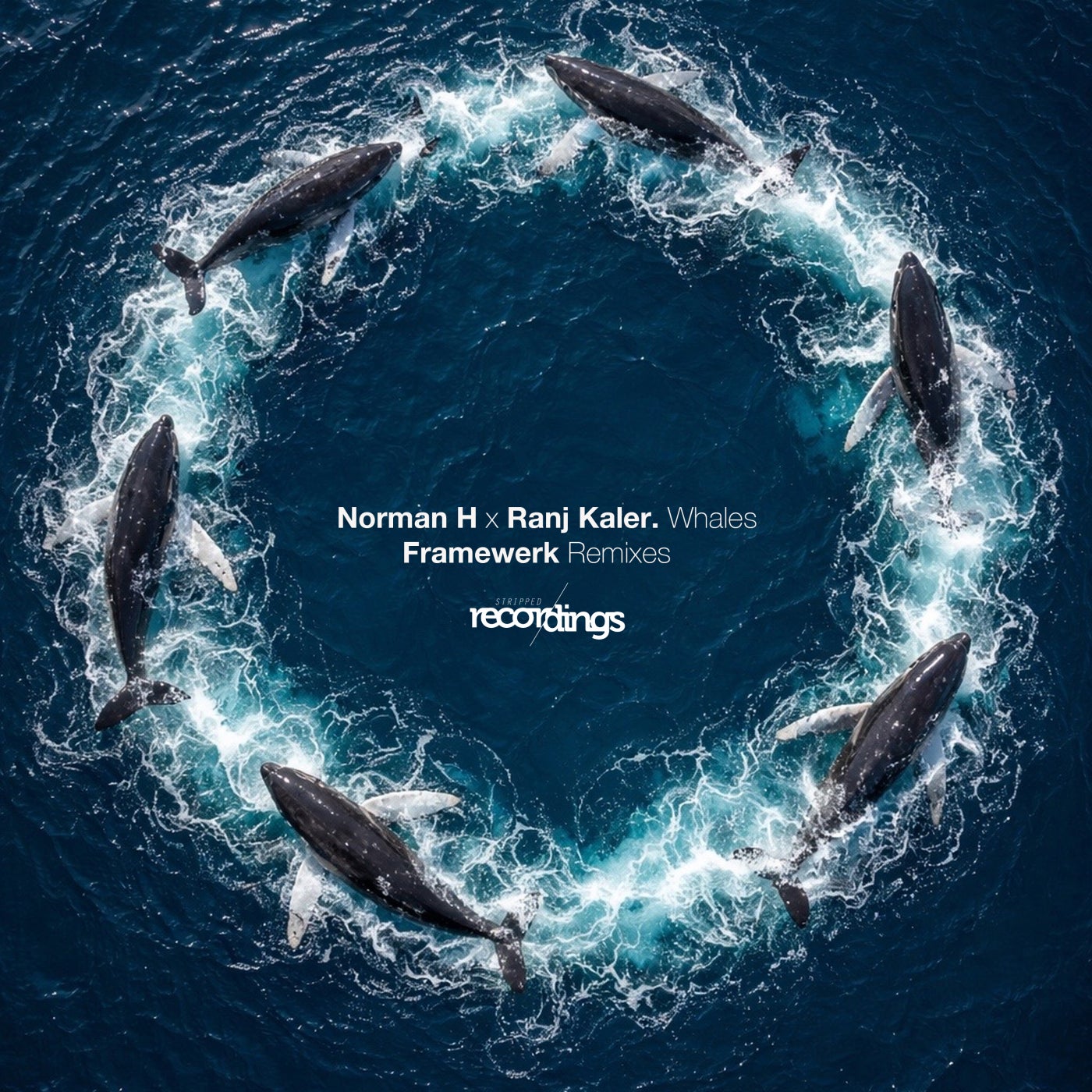 Cover - Norman H, Ranj Kaler - Whales (Framewerk Dub)